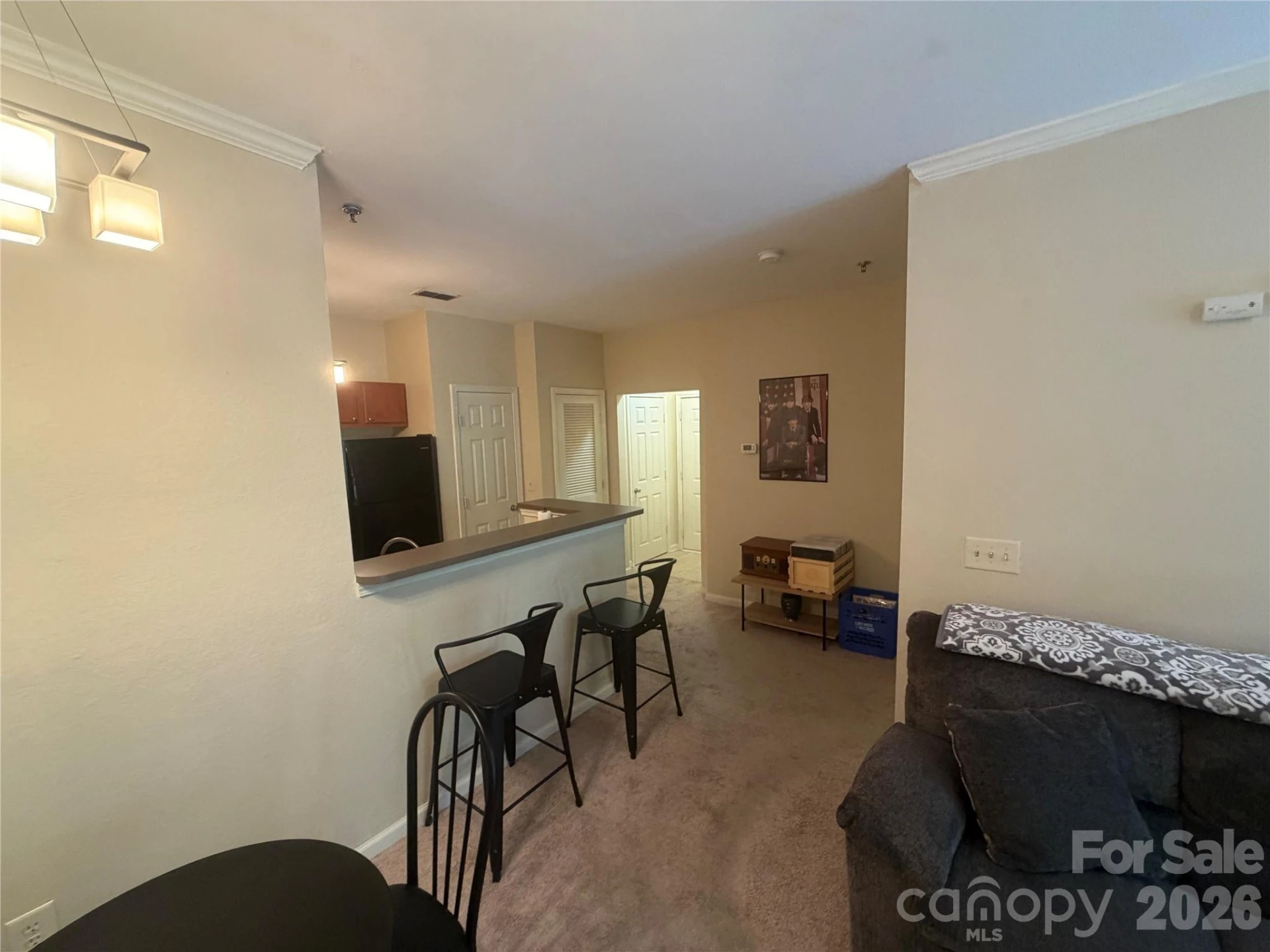 900 Vista Lake Drive #302 - Photo 8
