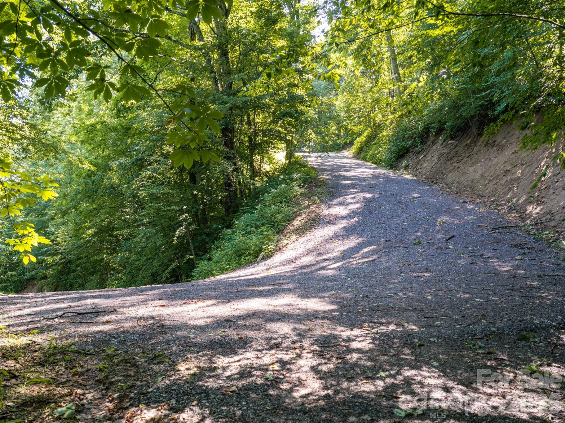 #E16 Adela Trail - Photo 5