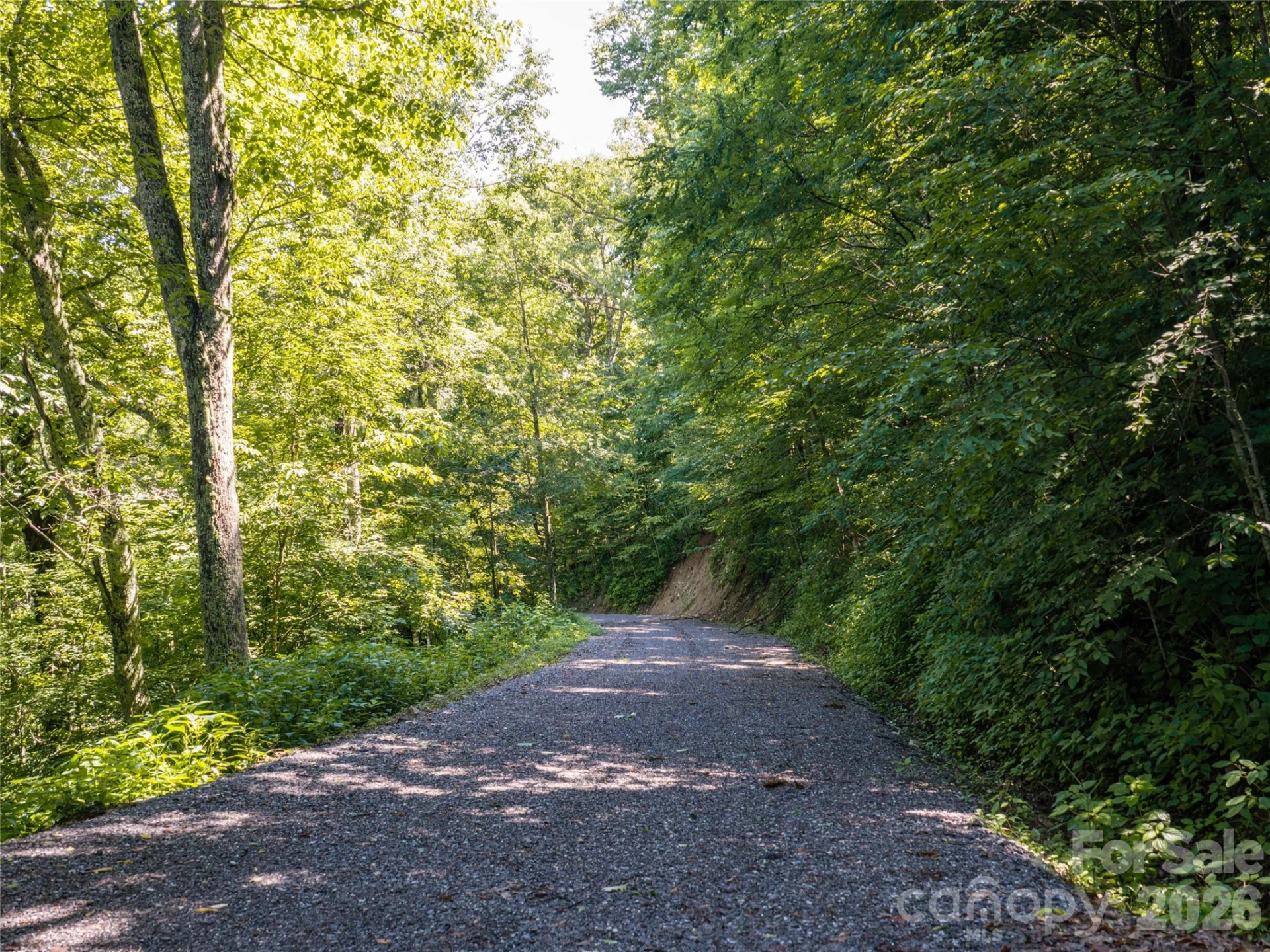 #E16 Adela Trail - Photo 6