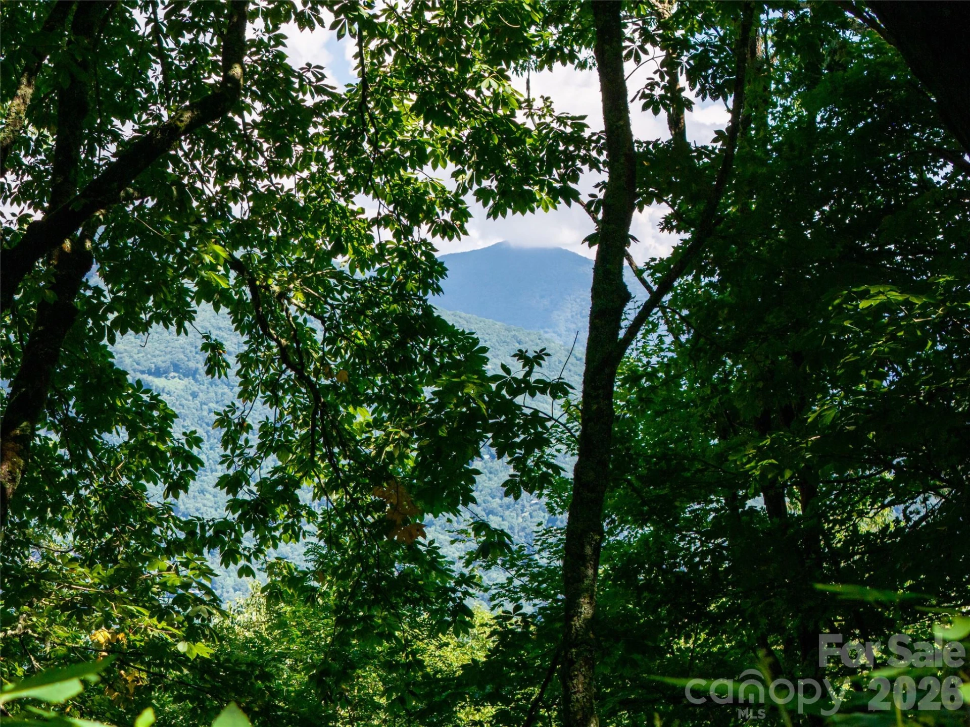 #E16 Adela Trail - Photo 7