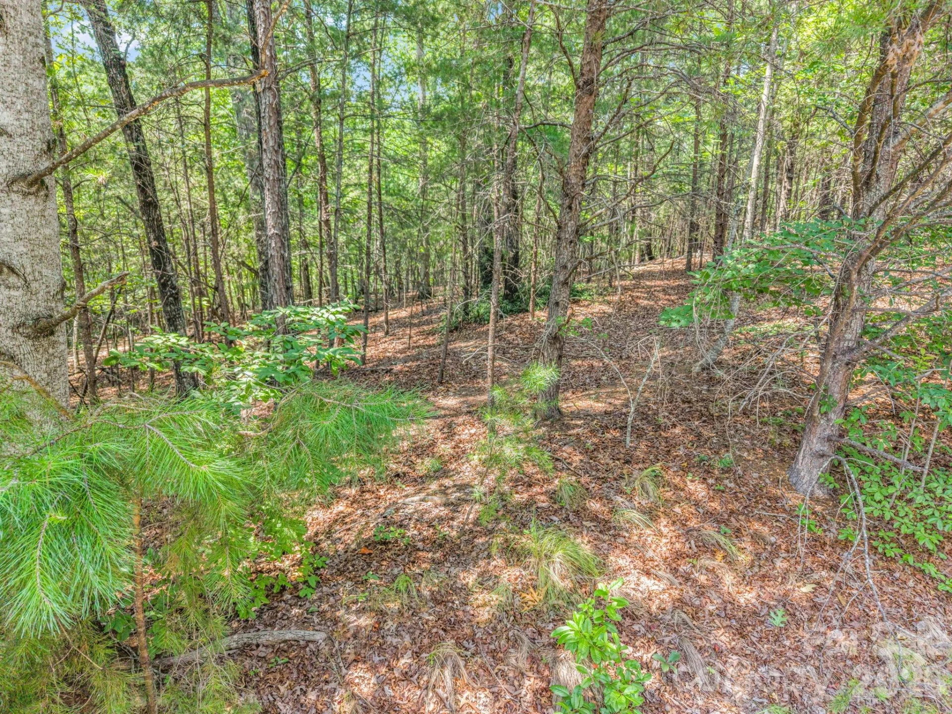 00 Lake Adger Parkway #60 - Photo 15