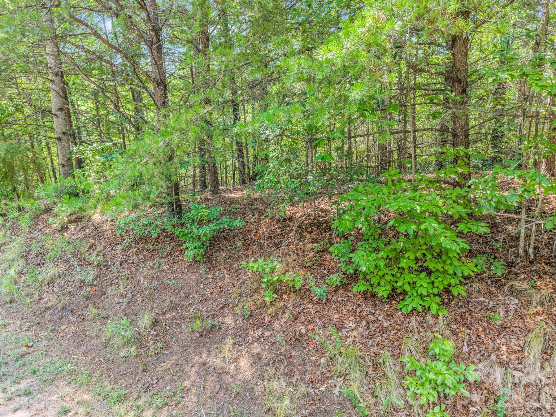 00 Lake Adger Parkway #60 - Photo 16
