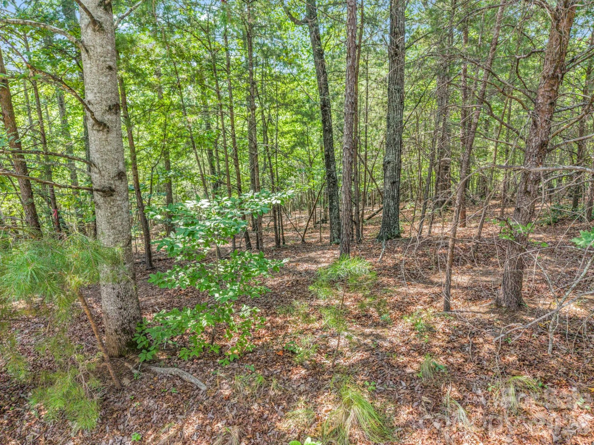 00 Lake Adger Parkway #60 - Photo 17
