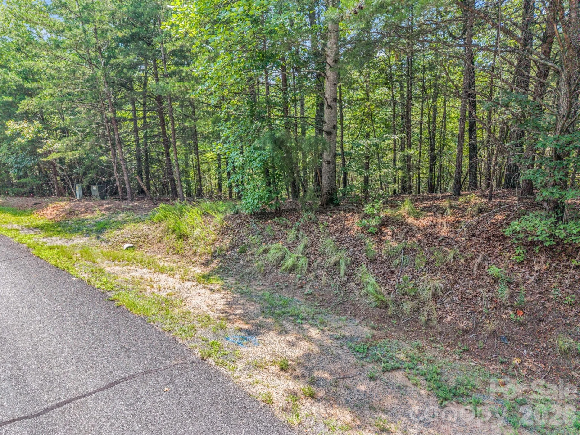 00 Lake Adger Parkway #60 - Photo 18