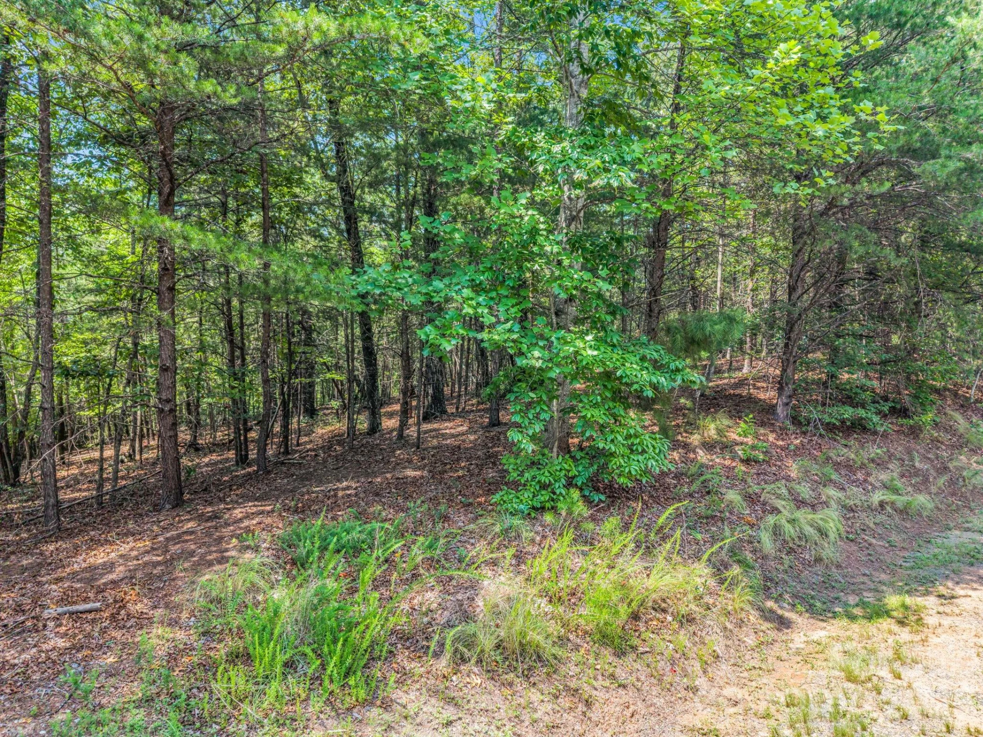 00 Lake Adger Parkway #60 - Photo 19