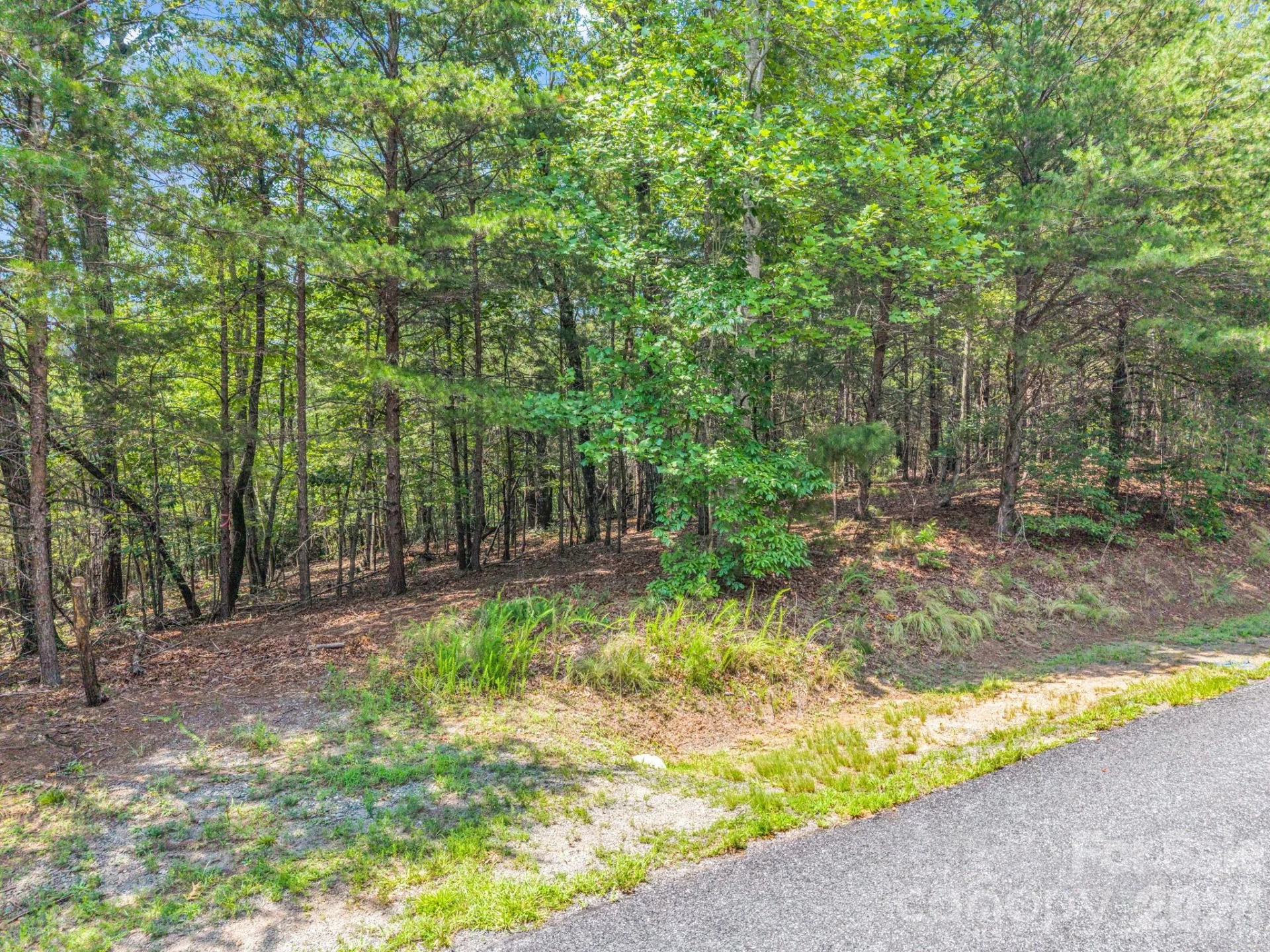 00 Lake Adger Parkway #60 - Photo 20