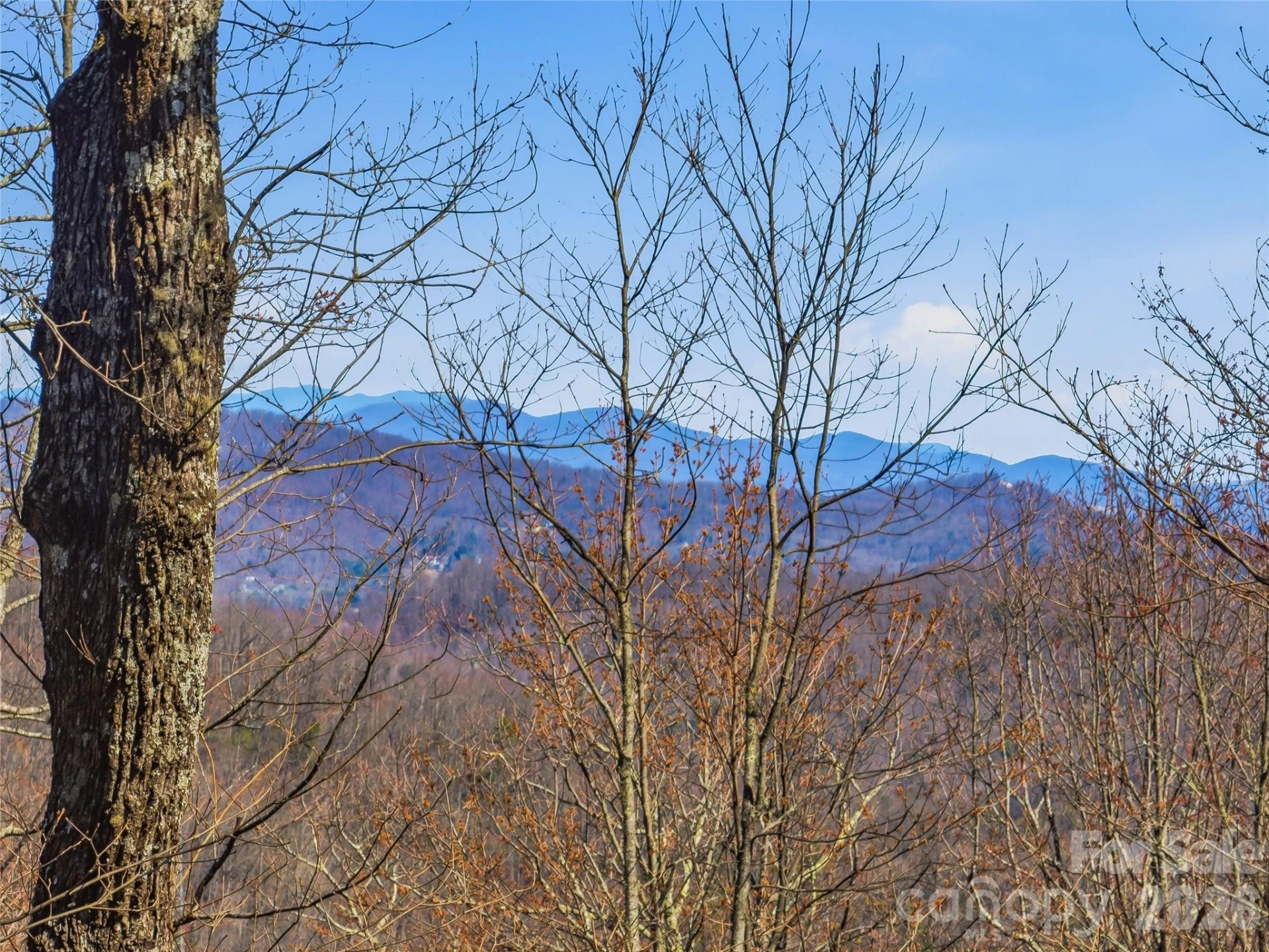 0000 Panther Mountain Road #18 - Photo 6
