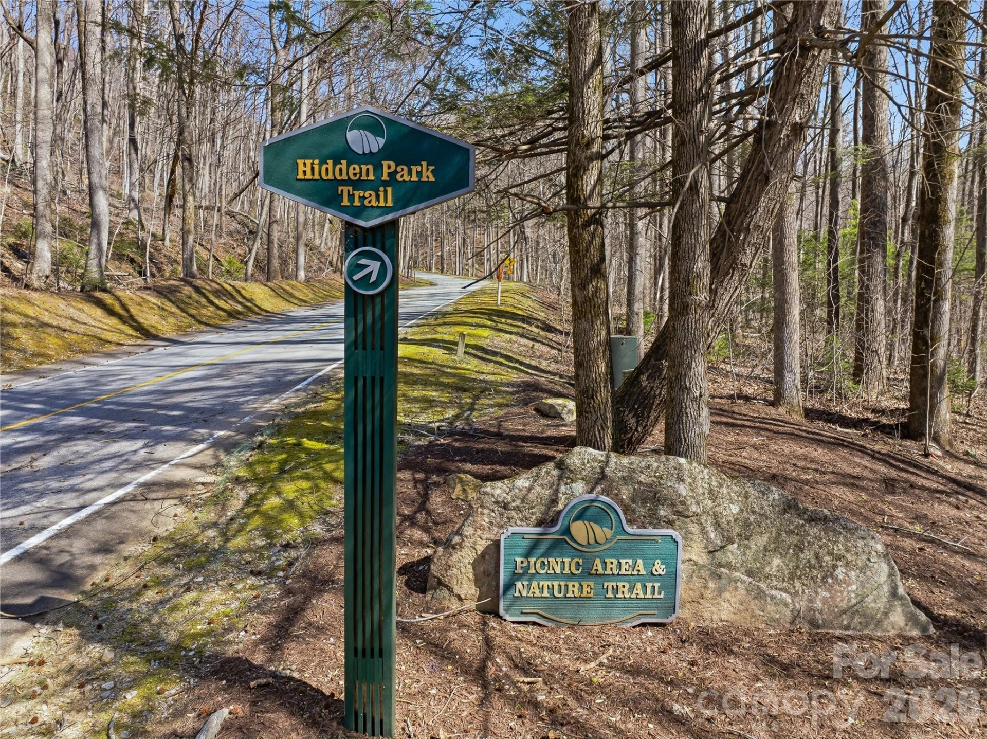 0000 Panther Mountain Road #18 - Photo 7