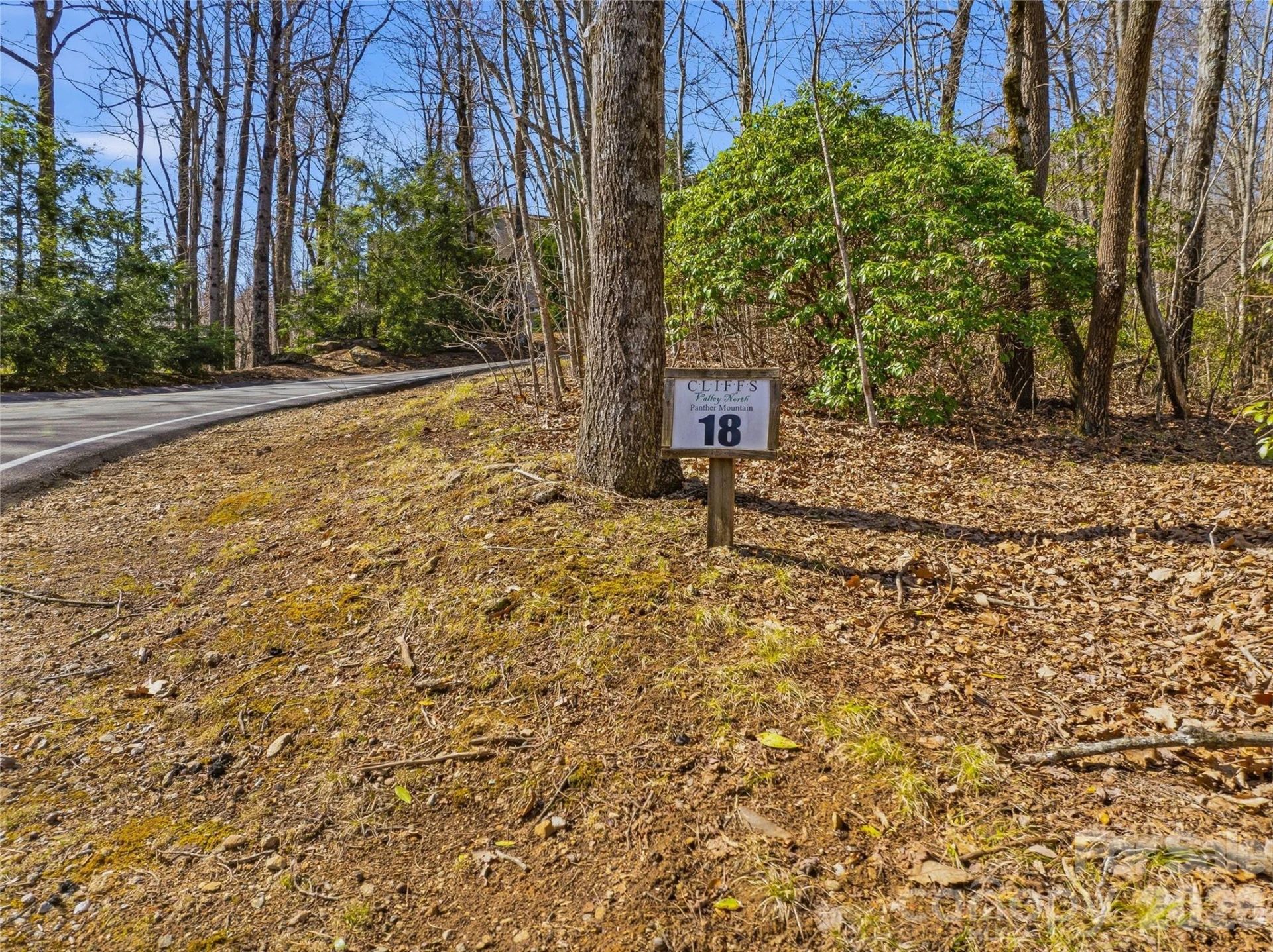 0000 Panther Mountain Road #18 - Photo 8
