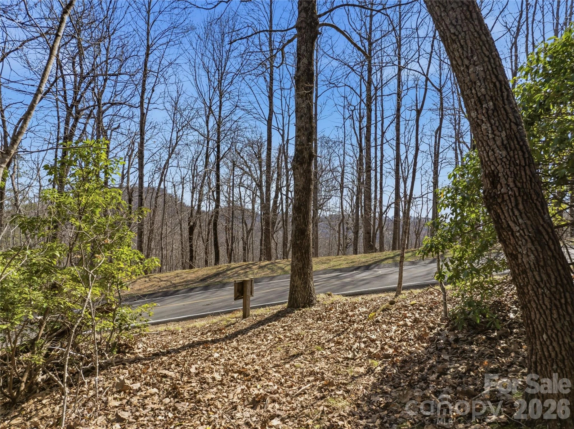 0000 Panther Mountain Road #18 - Photo 9