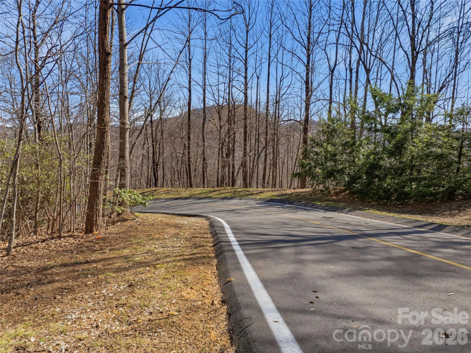 0000 Panther Mountain Road #18 - Photo 10