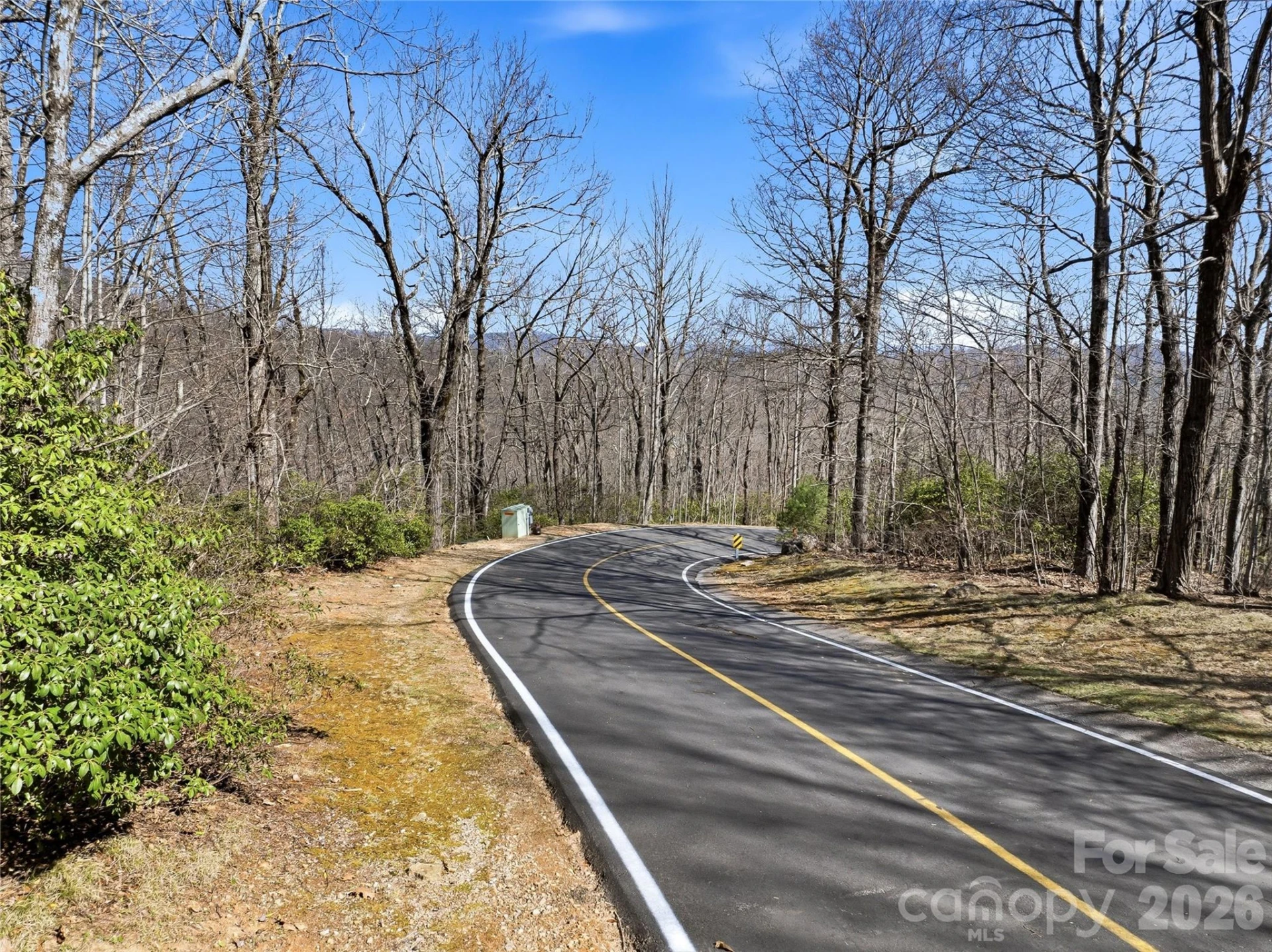 0000 Panther Mountain Road #18 - Photo 11