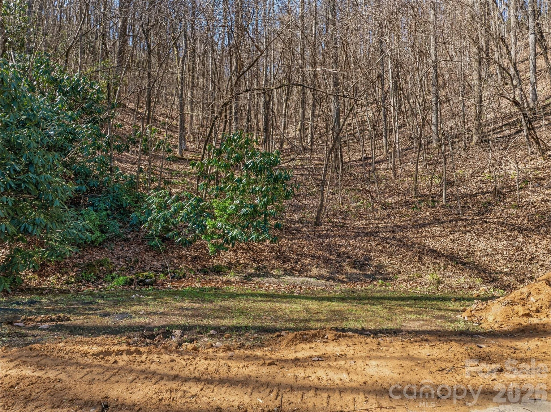 0000 Panther Mountain Road #18 - Photo 12