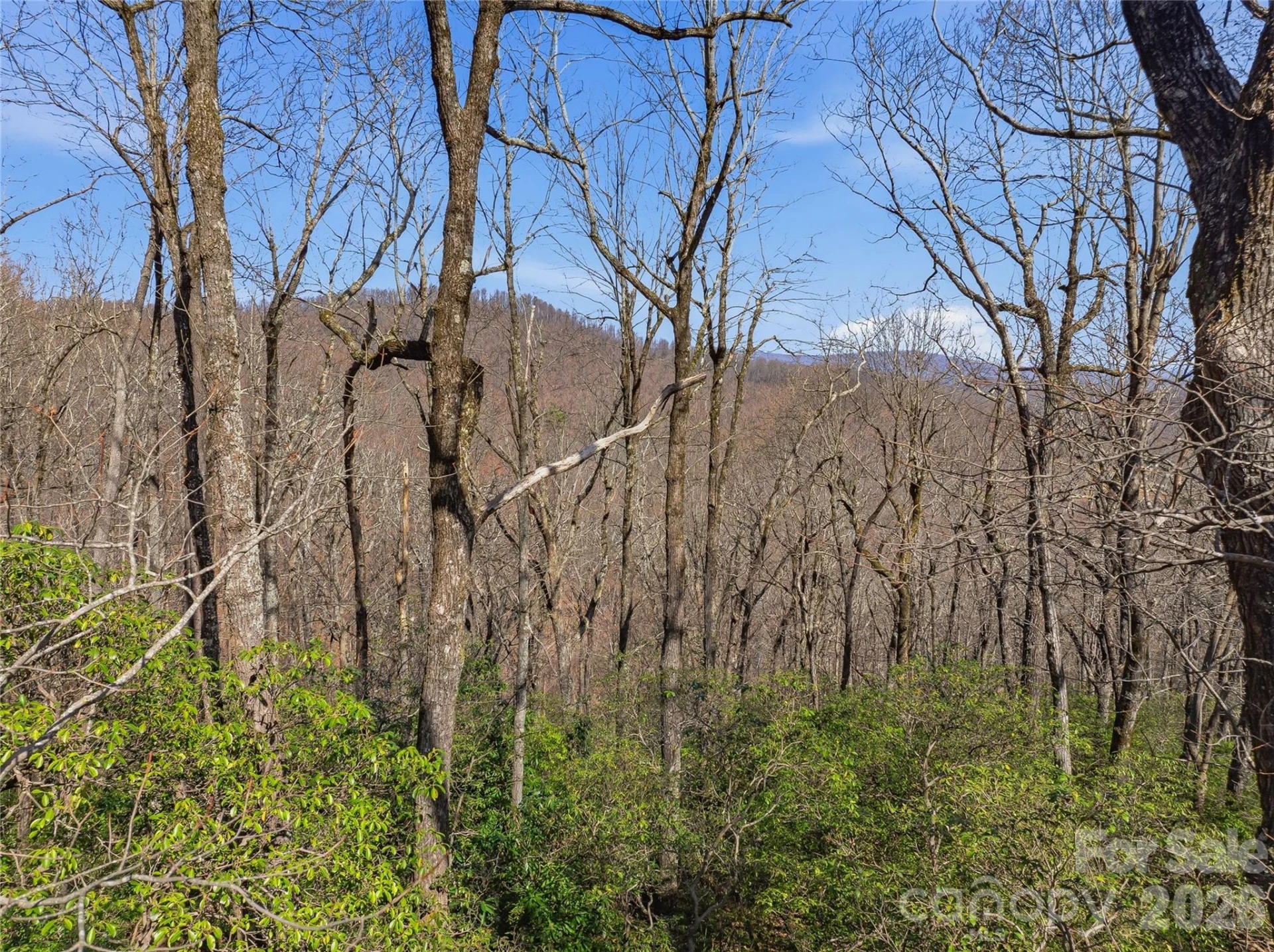 0000 Panther Mountain Road #18 - Photo 13