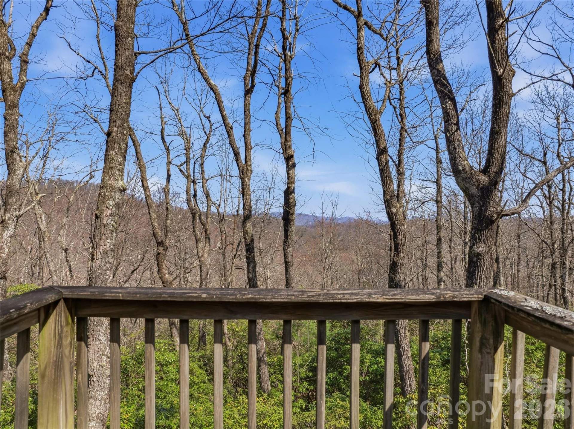 0000 Panther Mountain Road #18 - Photo 15