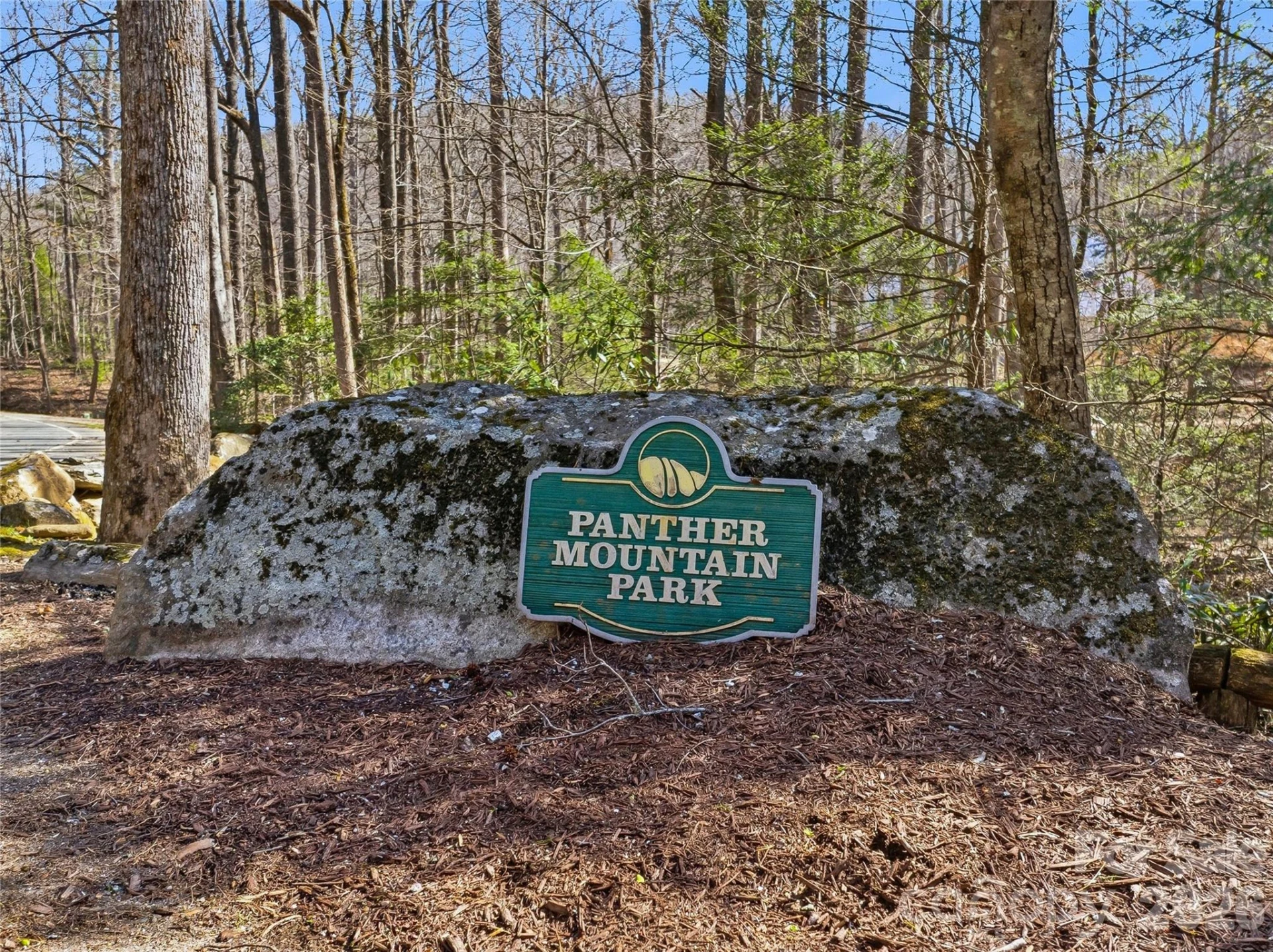 0000 Panther Mountain Road #18 - Photo 16