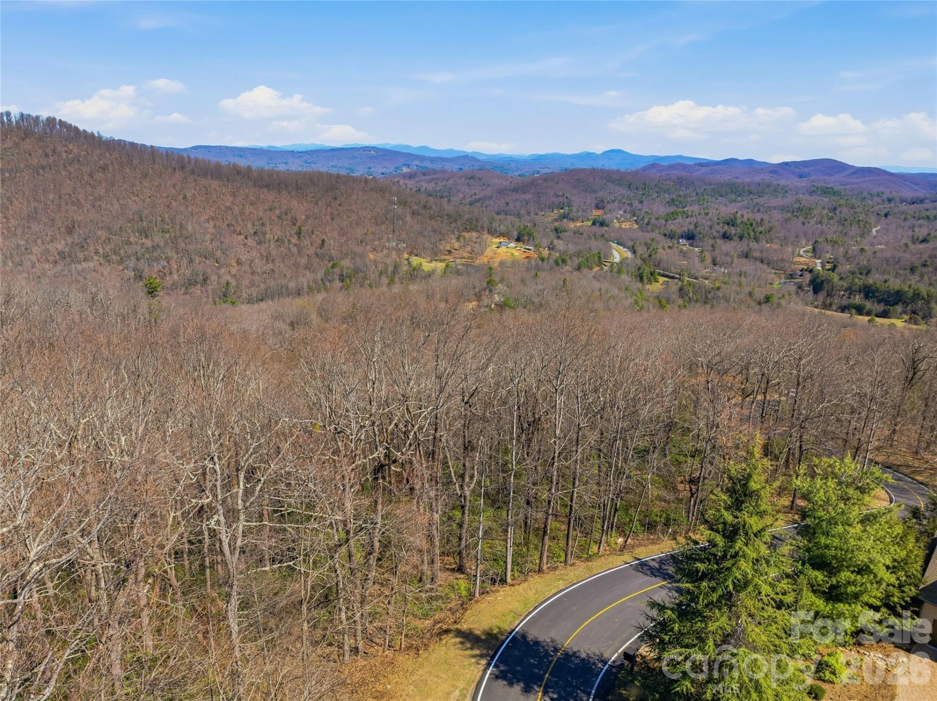 0000 Panther Mountain Road #18 - Photo 24