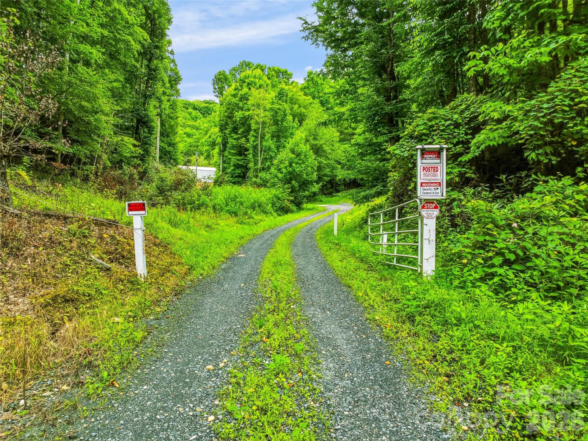 961 Wilson Branch Road - Photo 2
