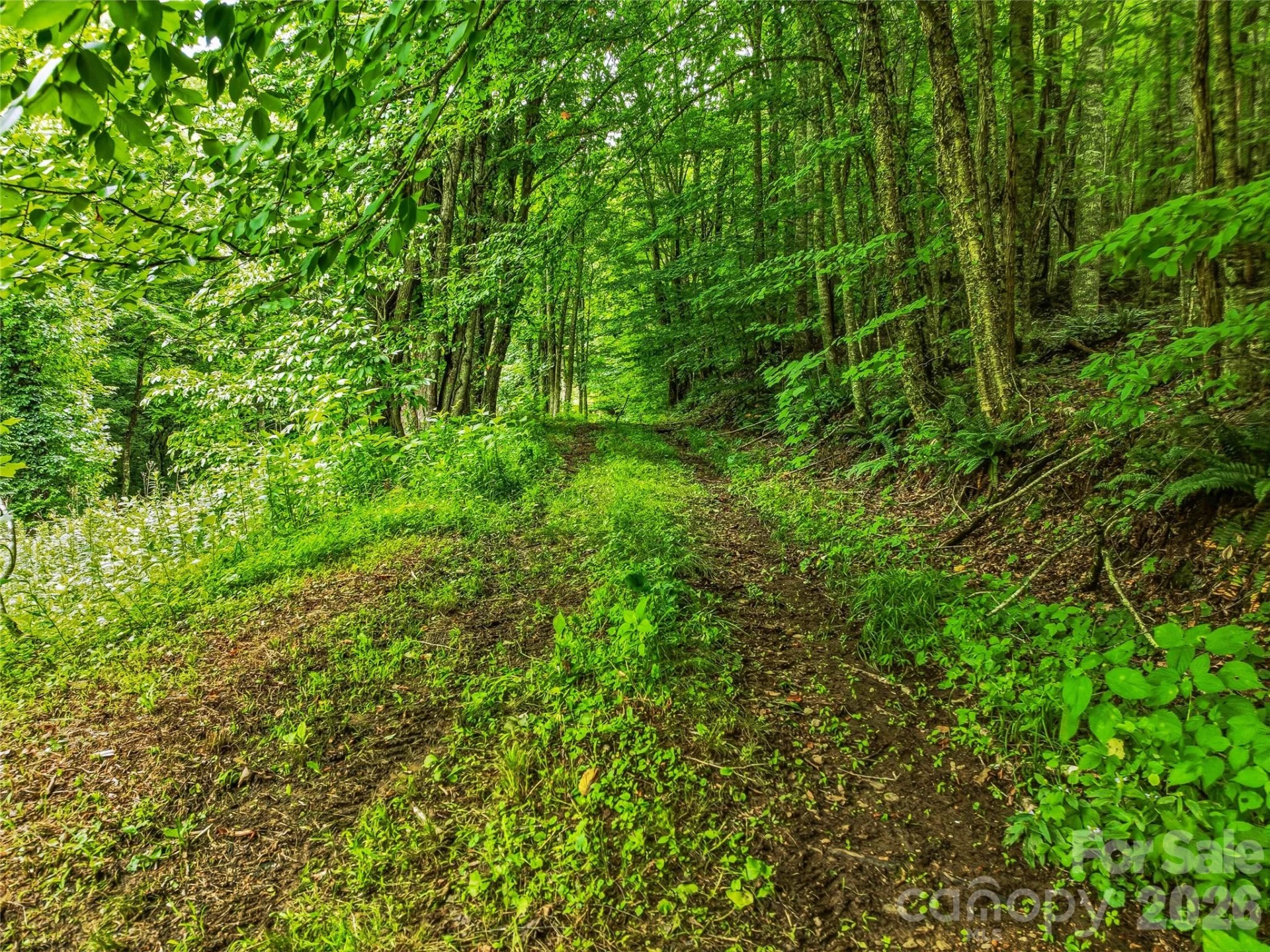 961 Wilson Branch Road - Photo 18