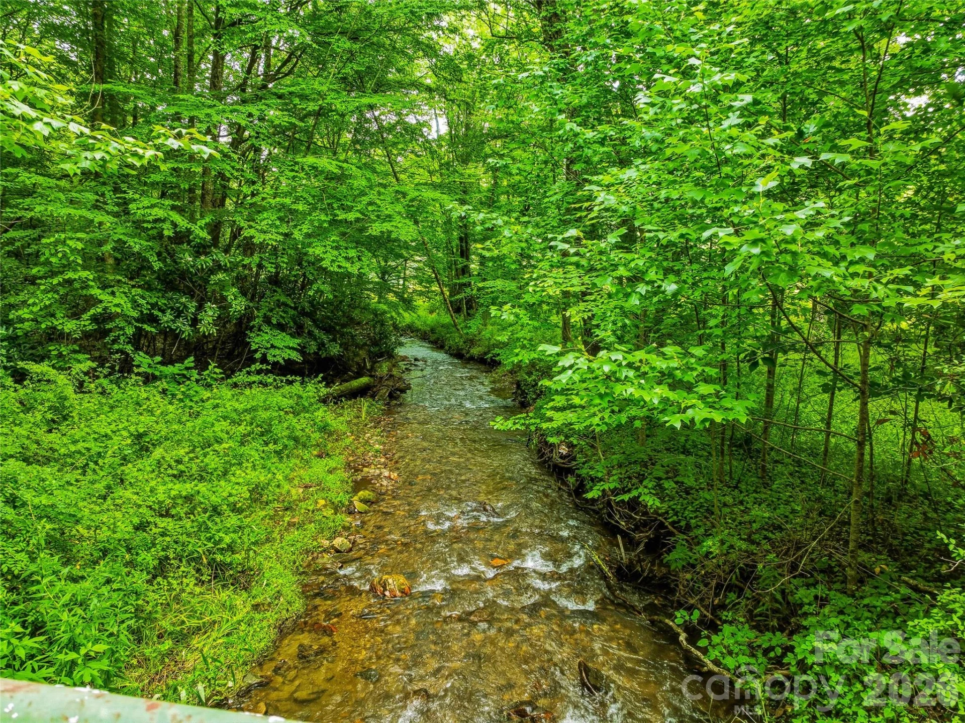 961 Wilson Branch Road - Photo 21