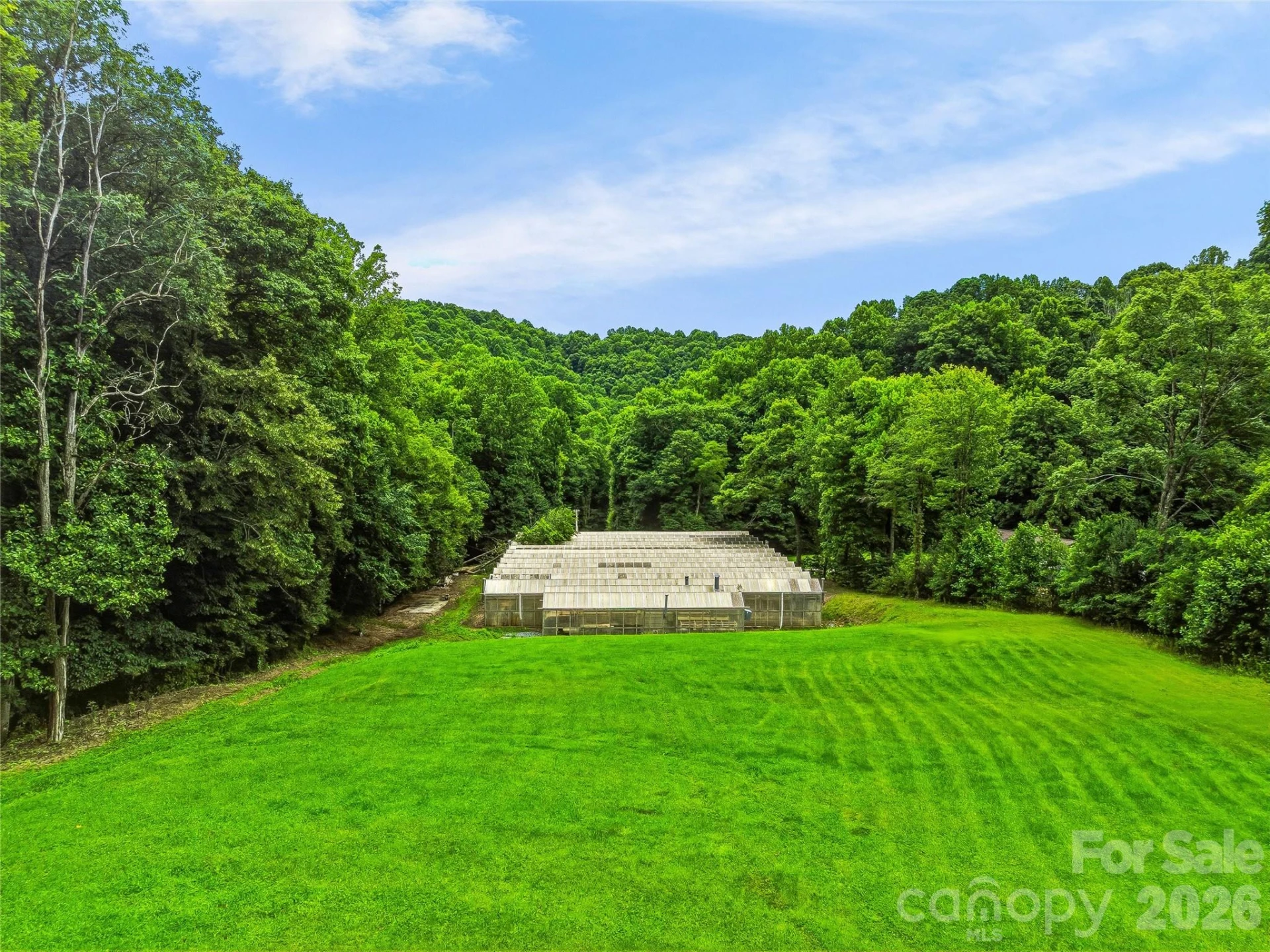 961 Wilson Branch Road - Photo 26