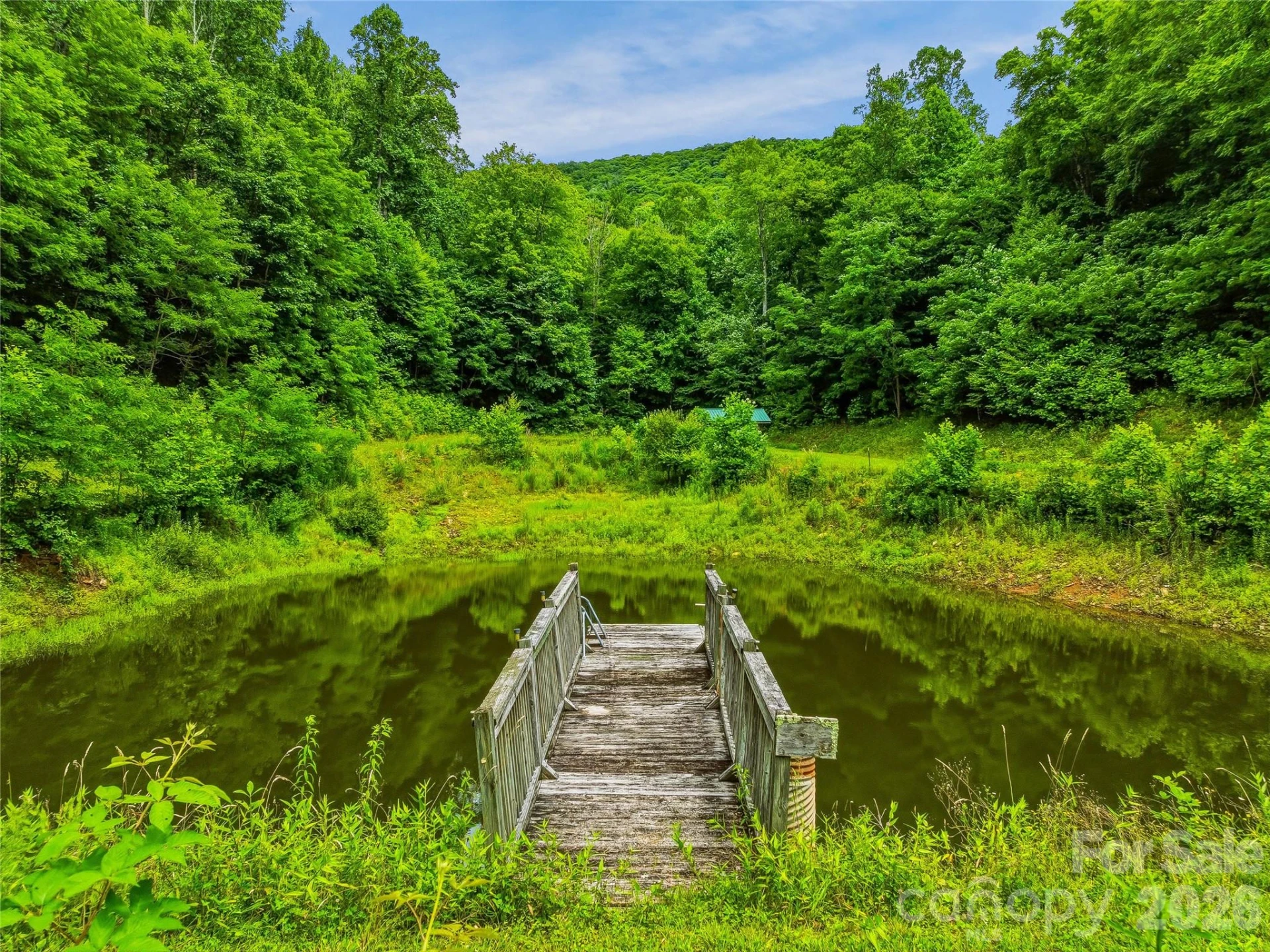 961 Wilson Branch Road - Photo 28