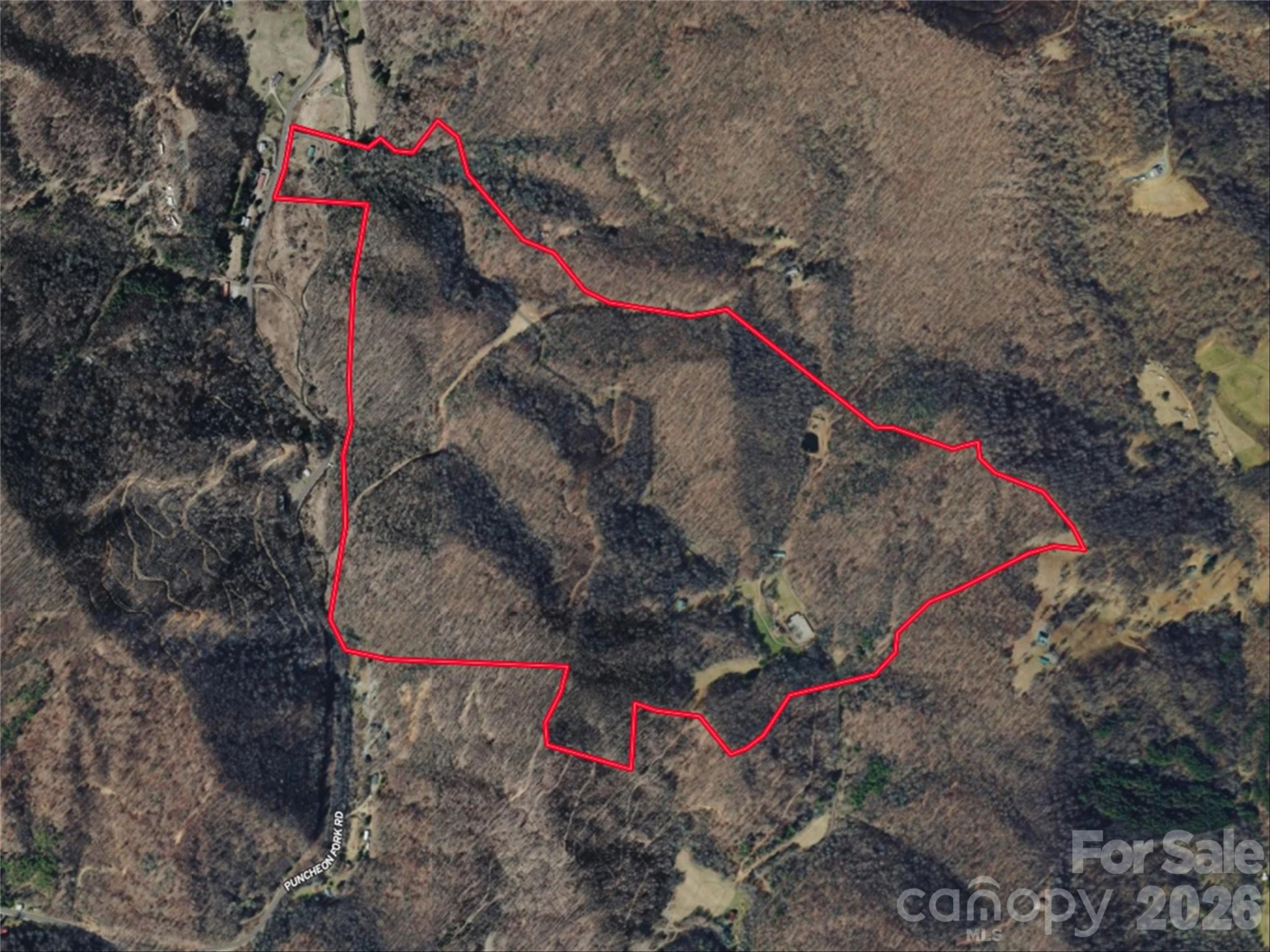 961 Wilson Branch Road - Photo 39