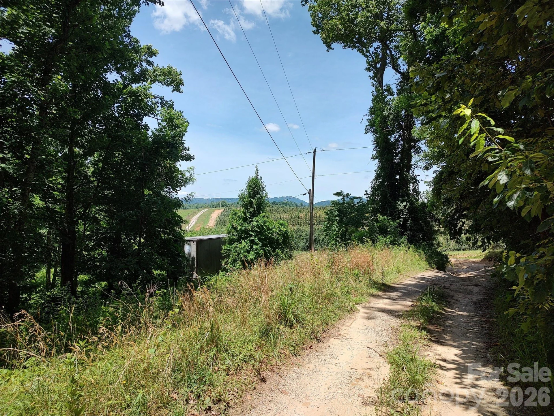 440 Hidden View Road - Photo 5