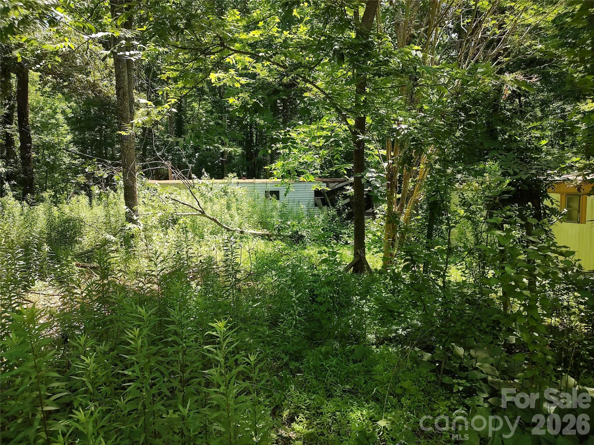 440 Hidden View Road - Photo 7