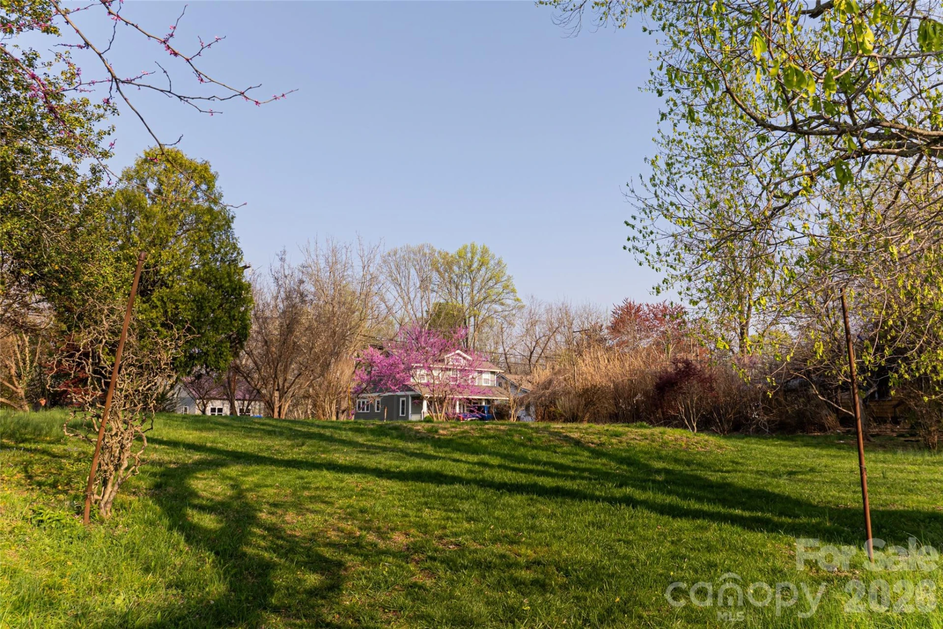 11 Westwood Place - Photo 2