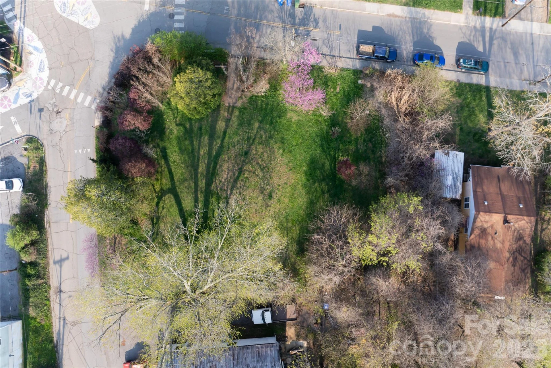 11 Westwood Place - Photo 8