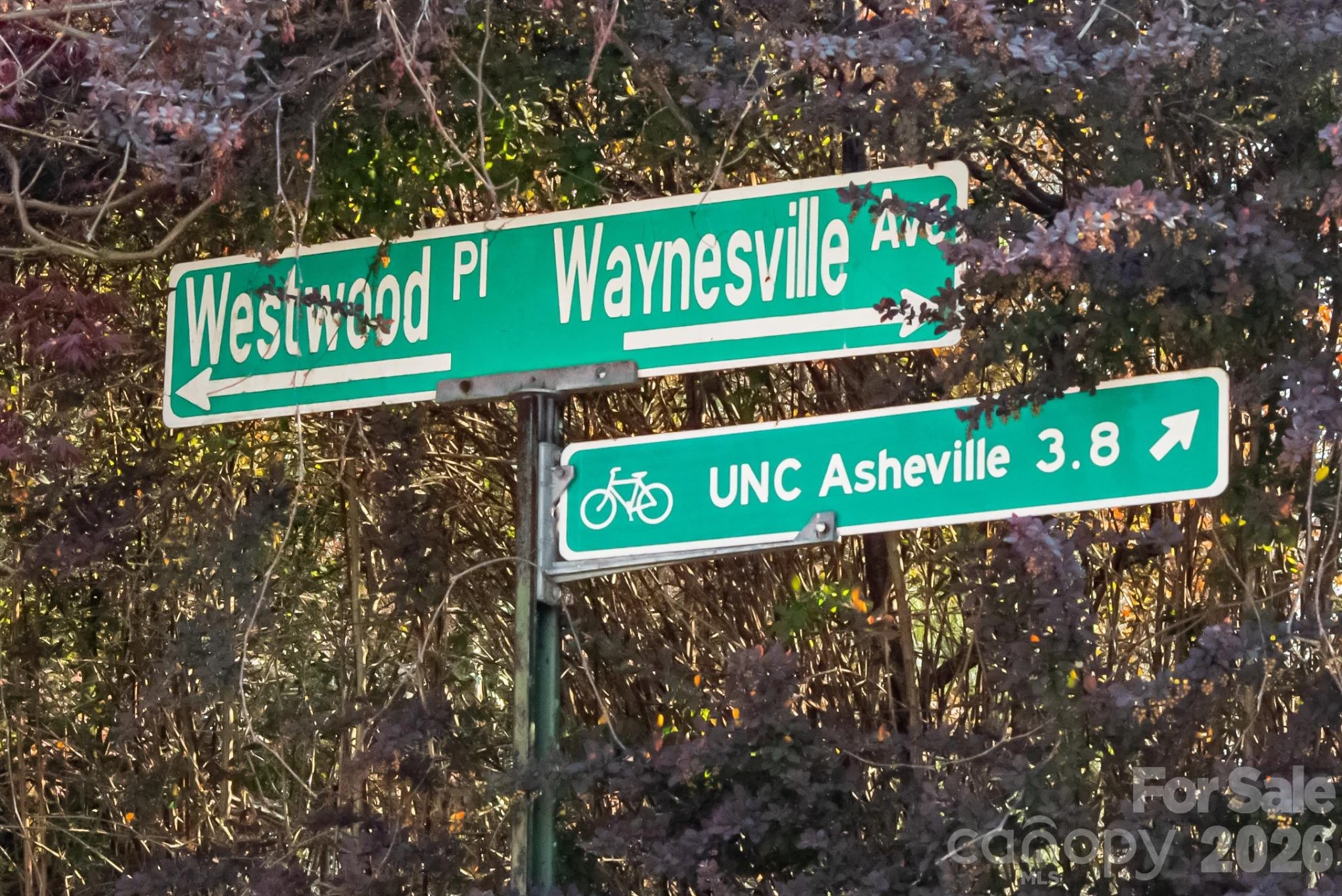11 Westwood Place - Photo 15