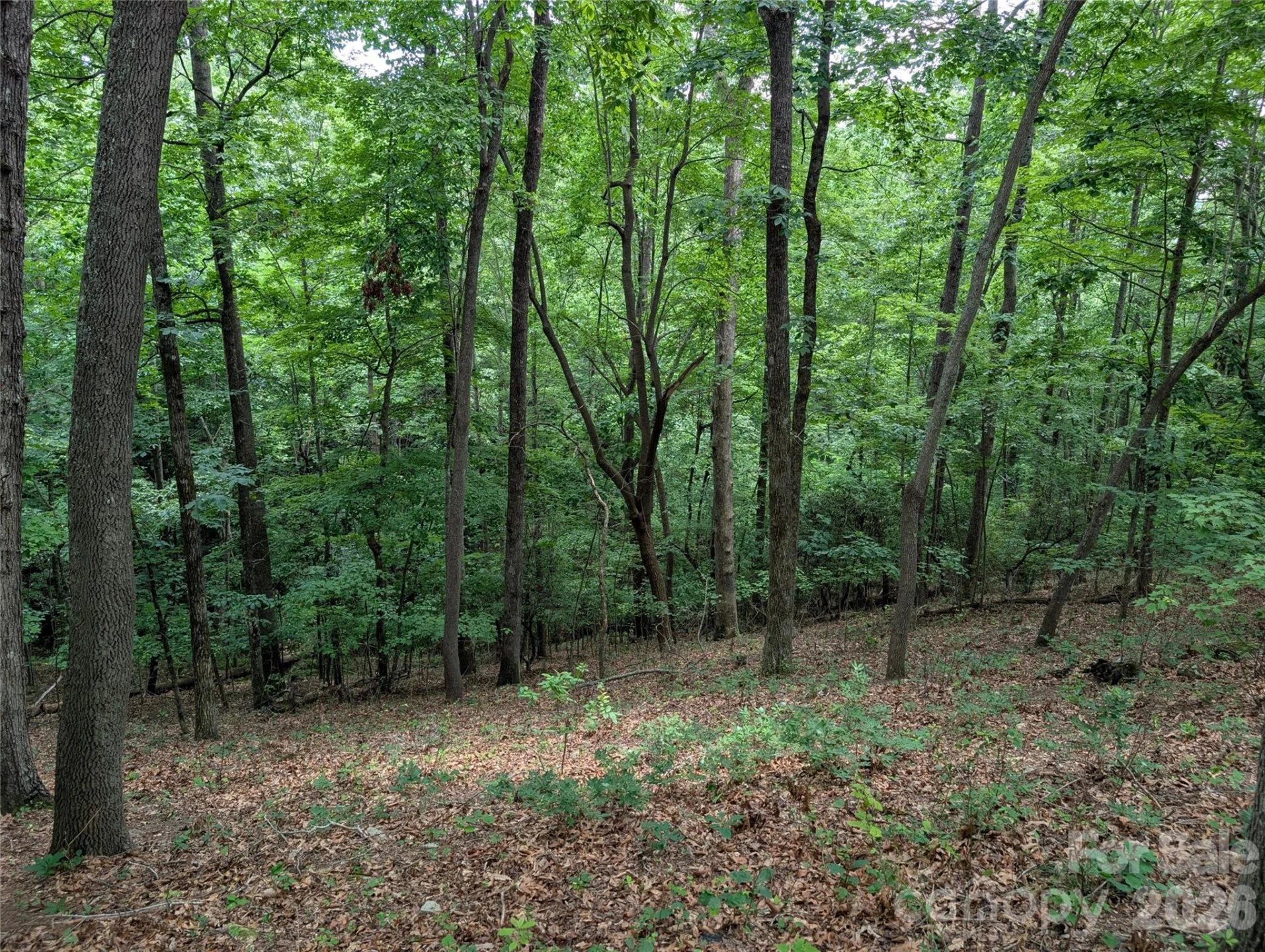 115 Ivywood Lane - Photo 7