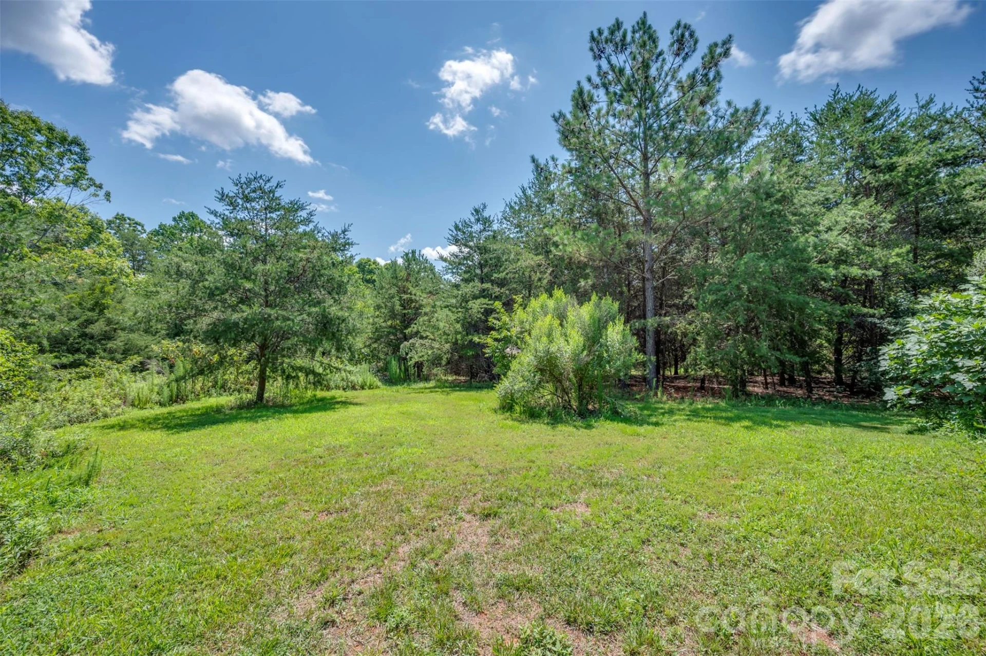 340 Right Prong Road - Photo 5