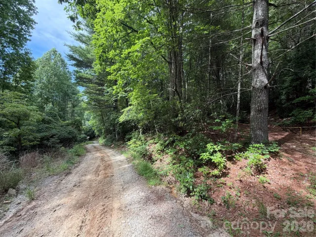 151 Katydid Lane, Hendersonville, NC, 28739