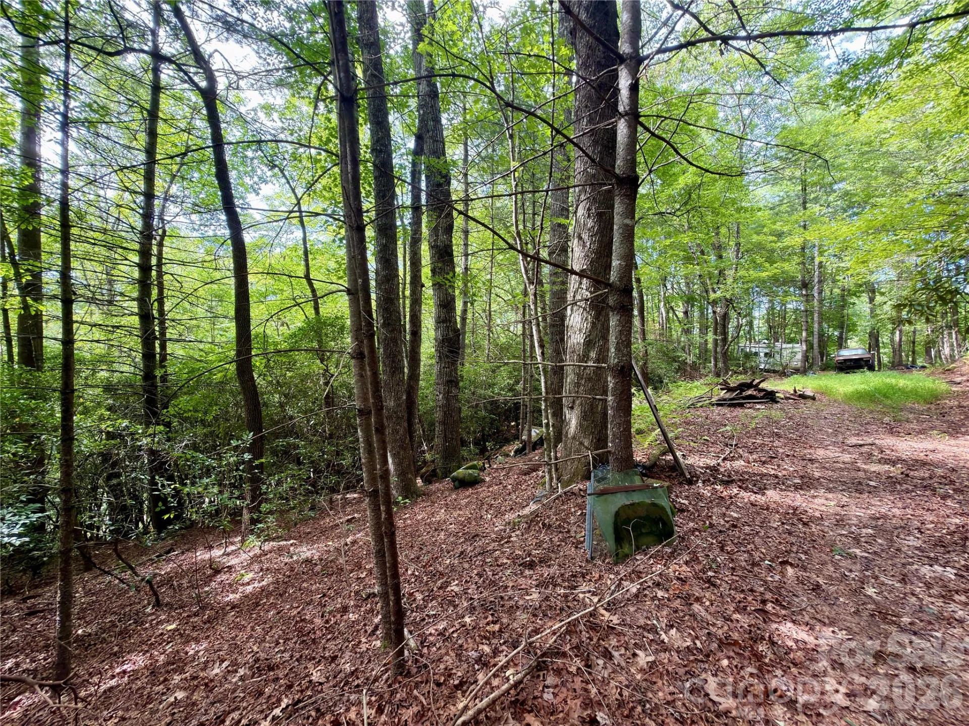 151 Katydid Lane - Photo 2