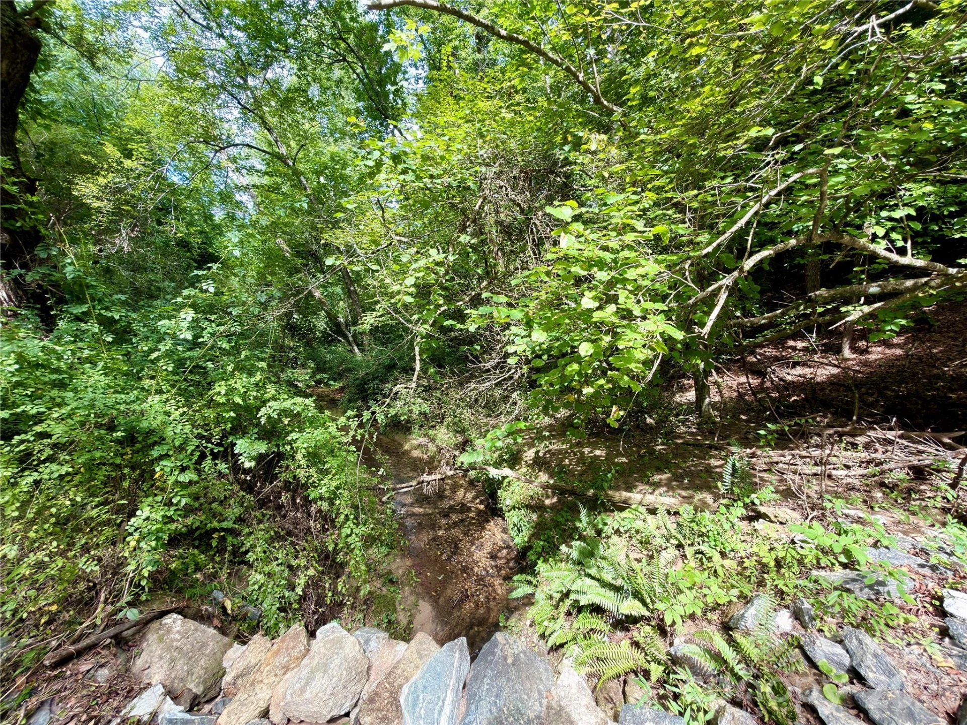 151 Katydid Lane - Photo 11