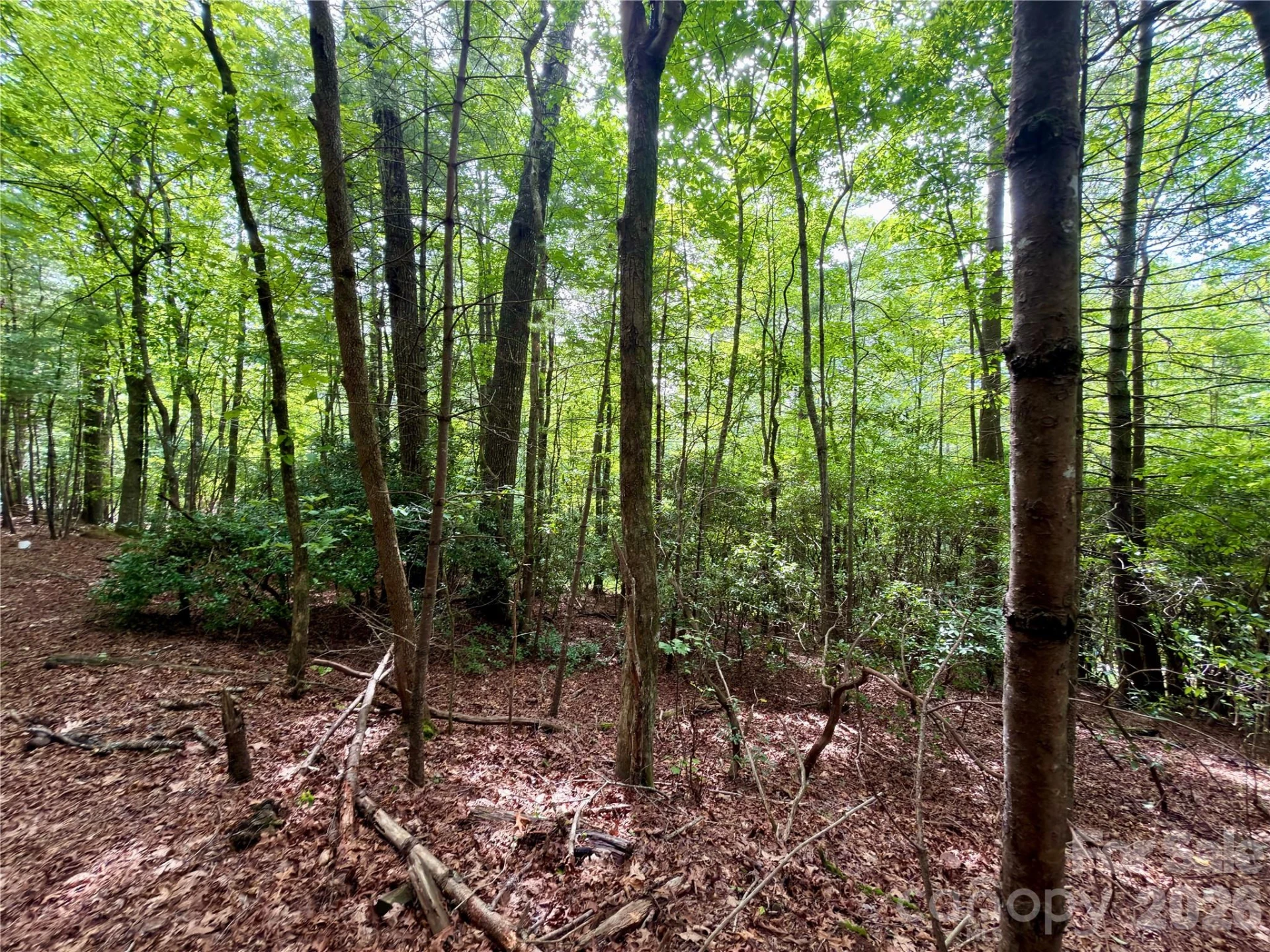 151 Katydid Lane - Photo 3