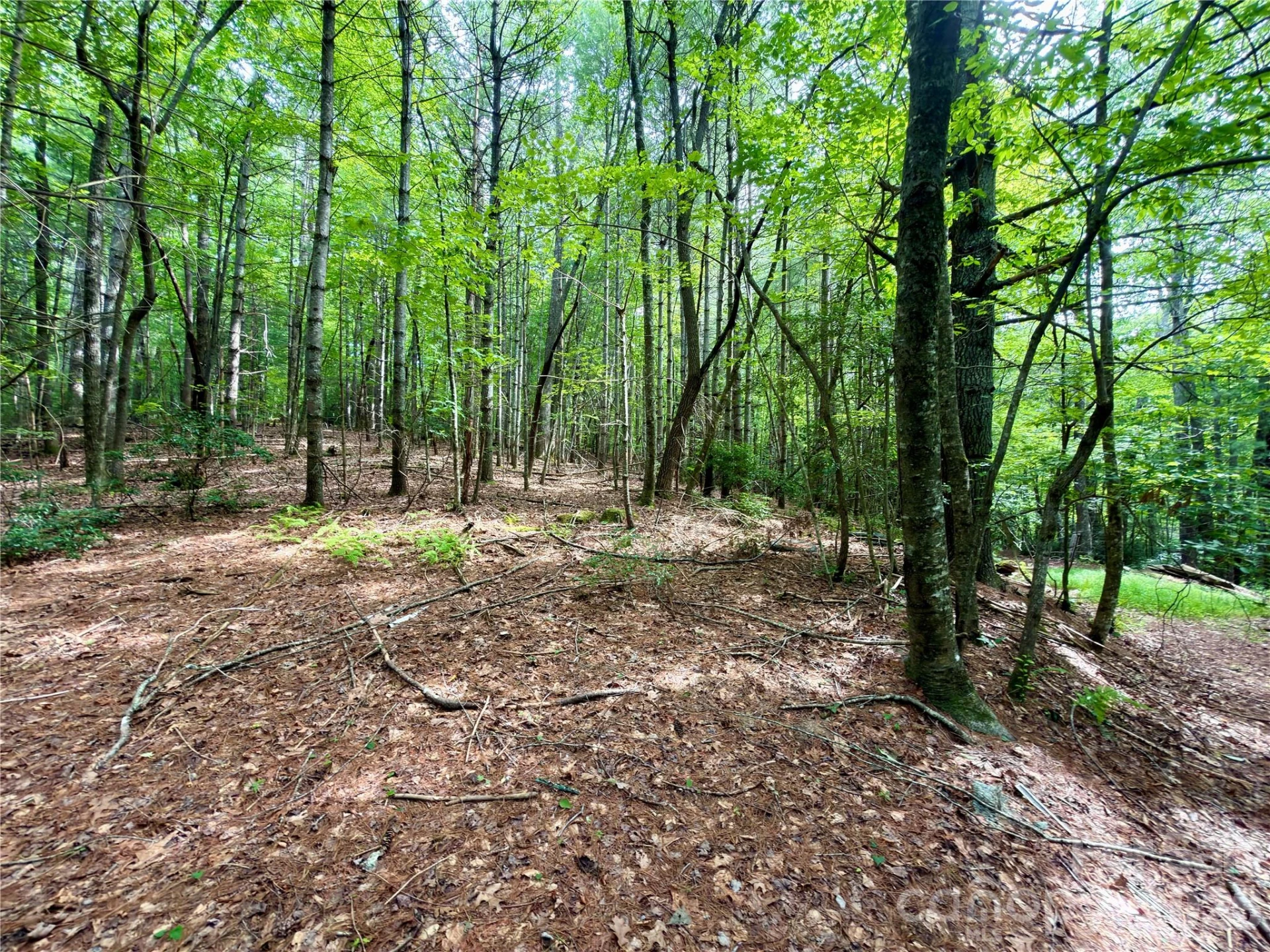151 Katydid Lane - Photo 4
