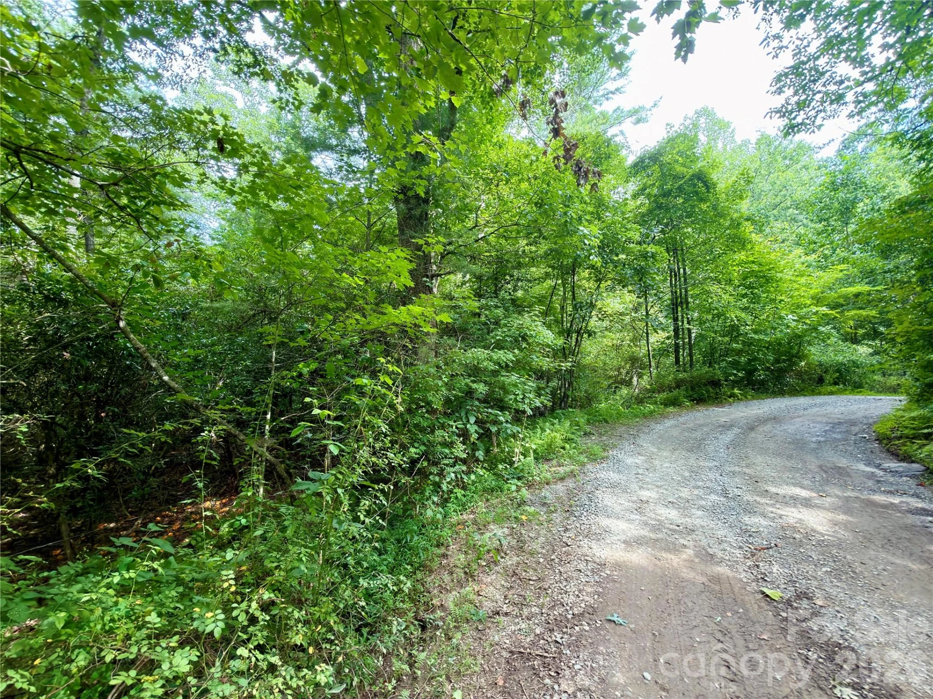 151 Katydid Lane - Photo 5