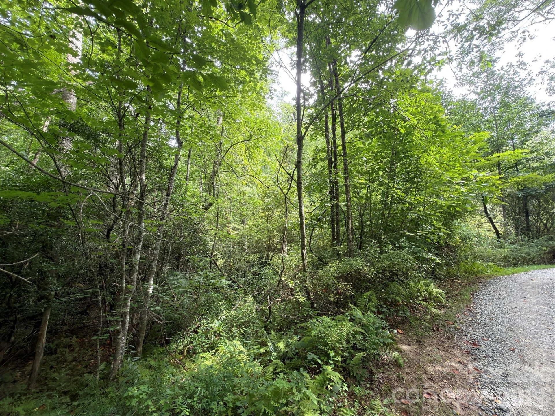 151 Katydid Lane - Photo 9