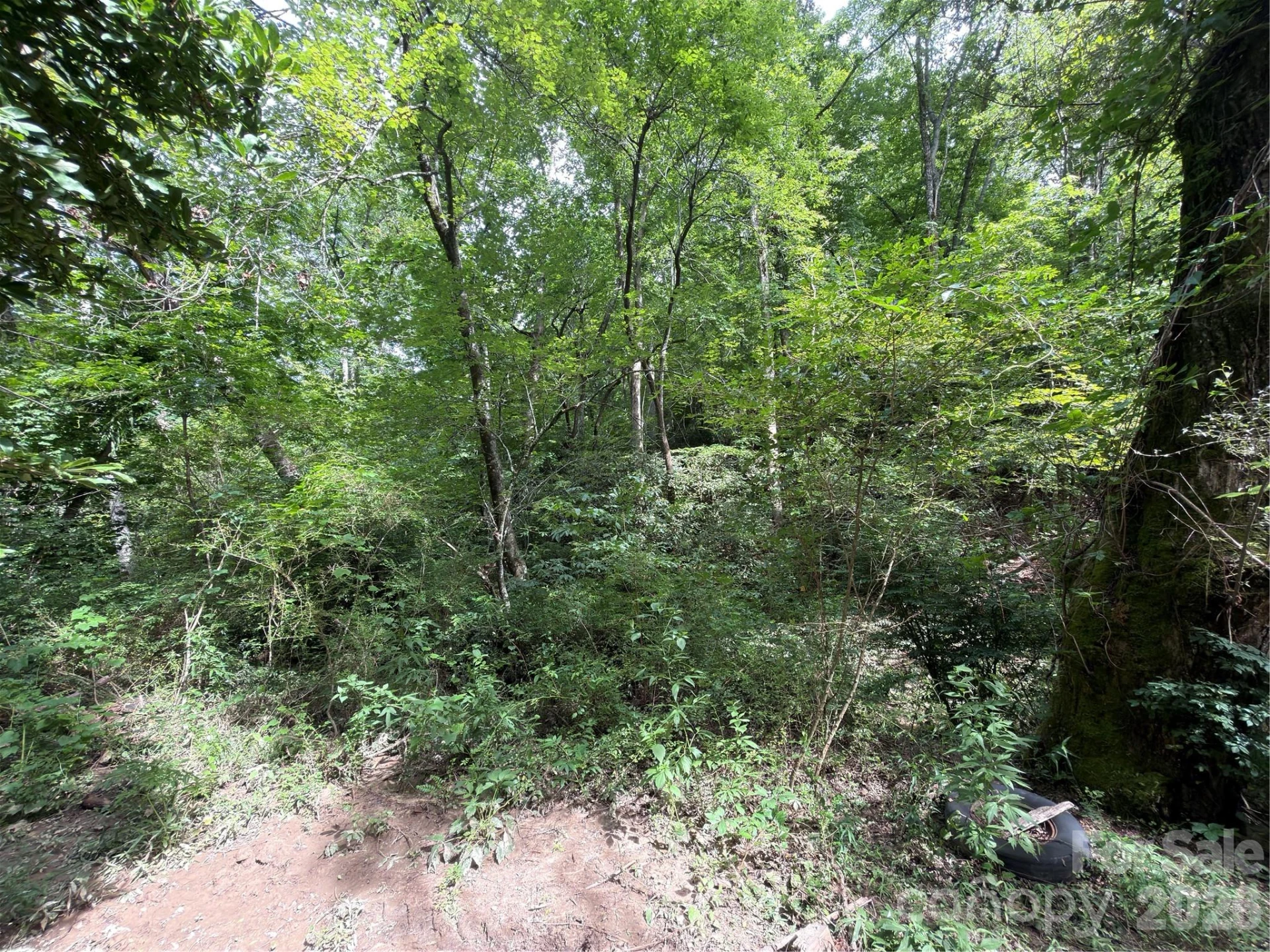 151 Katydid Lane - Photo 10