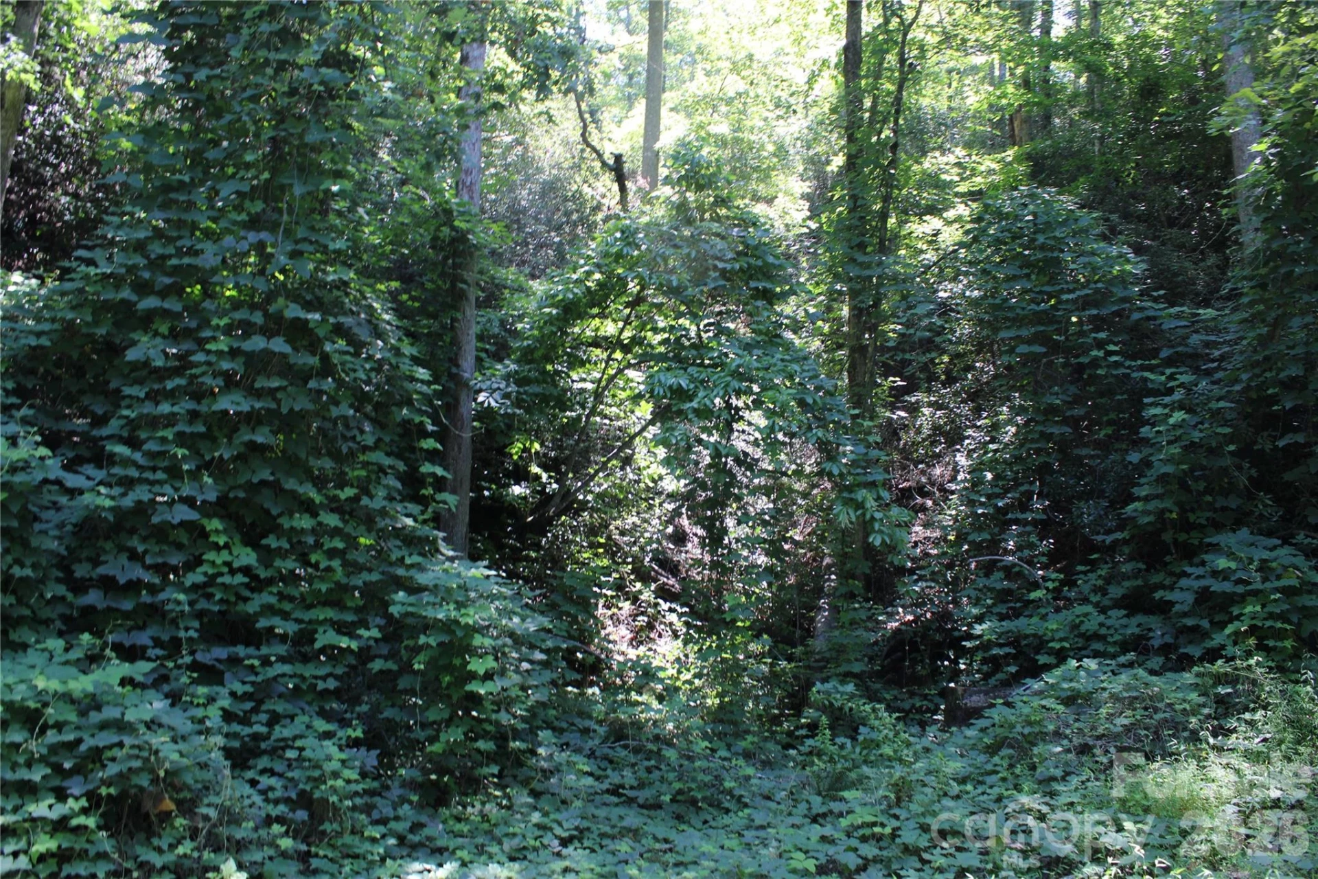 00 Sparrows Way - Photo 3
