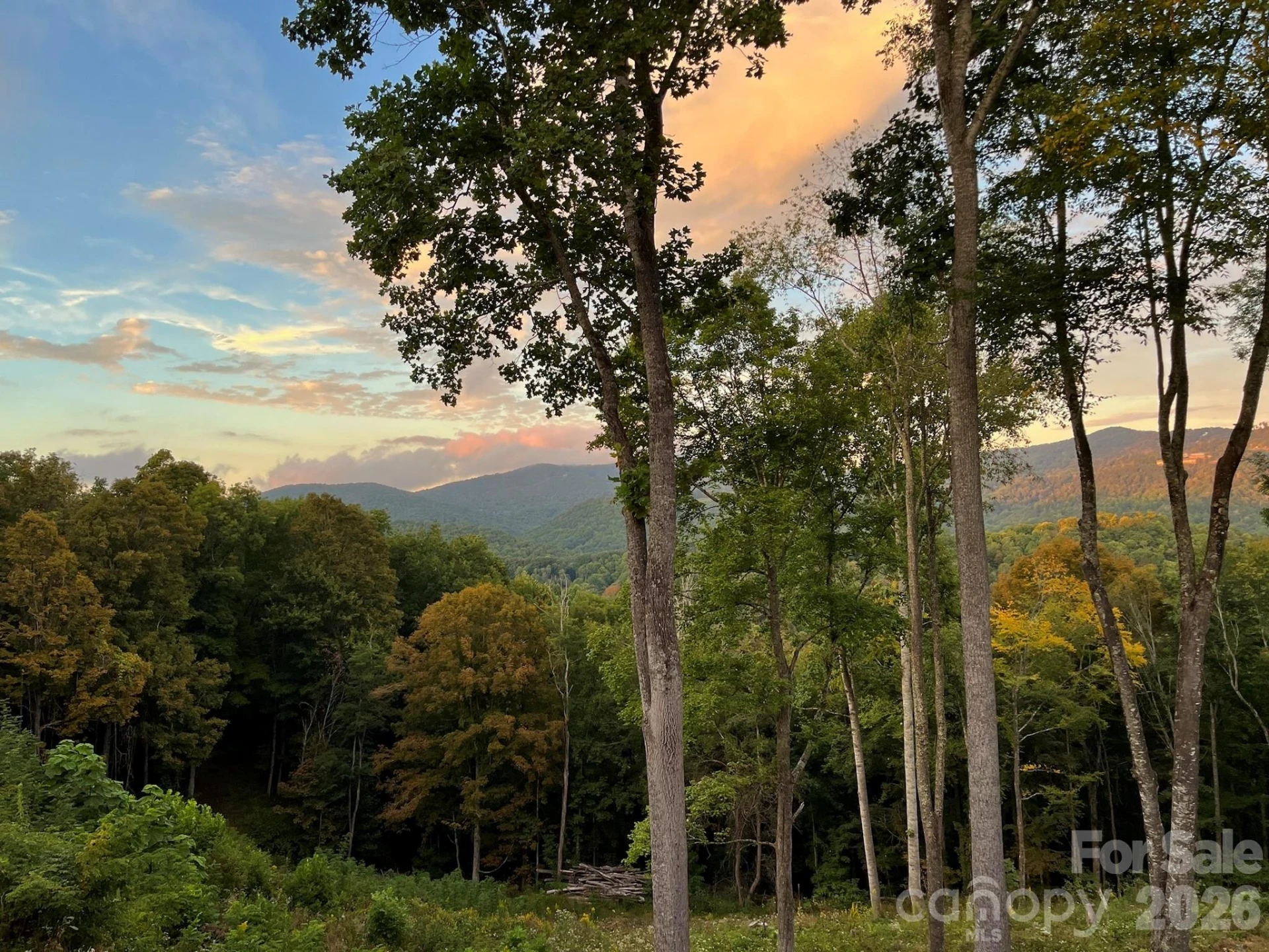 1185 Black Bear Drive - Photo 24