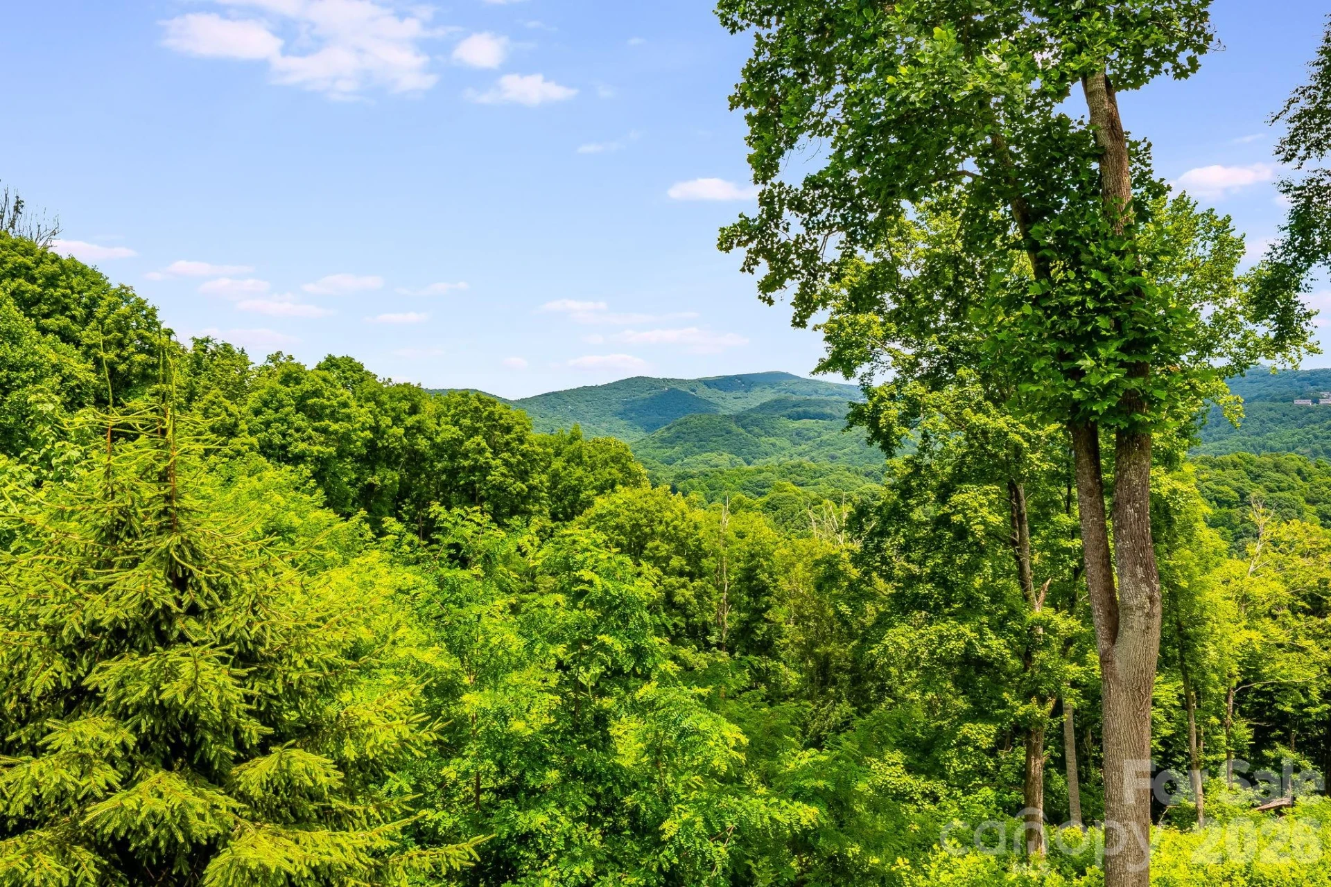 1185 Black Bear Drive - Photo 29