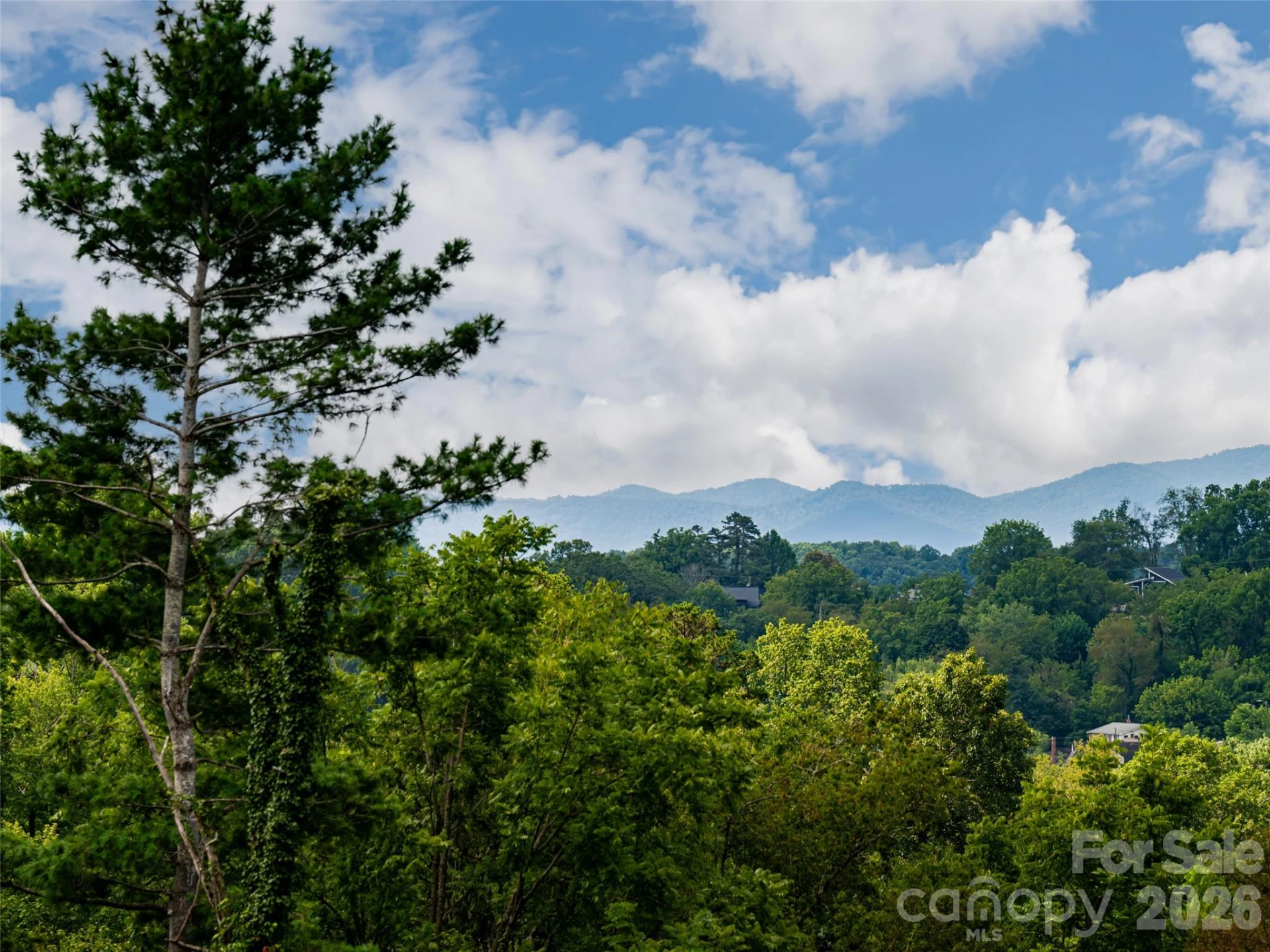 309 Ava Lane - Photo 2