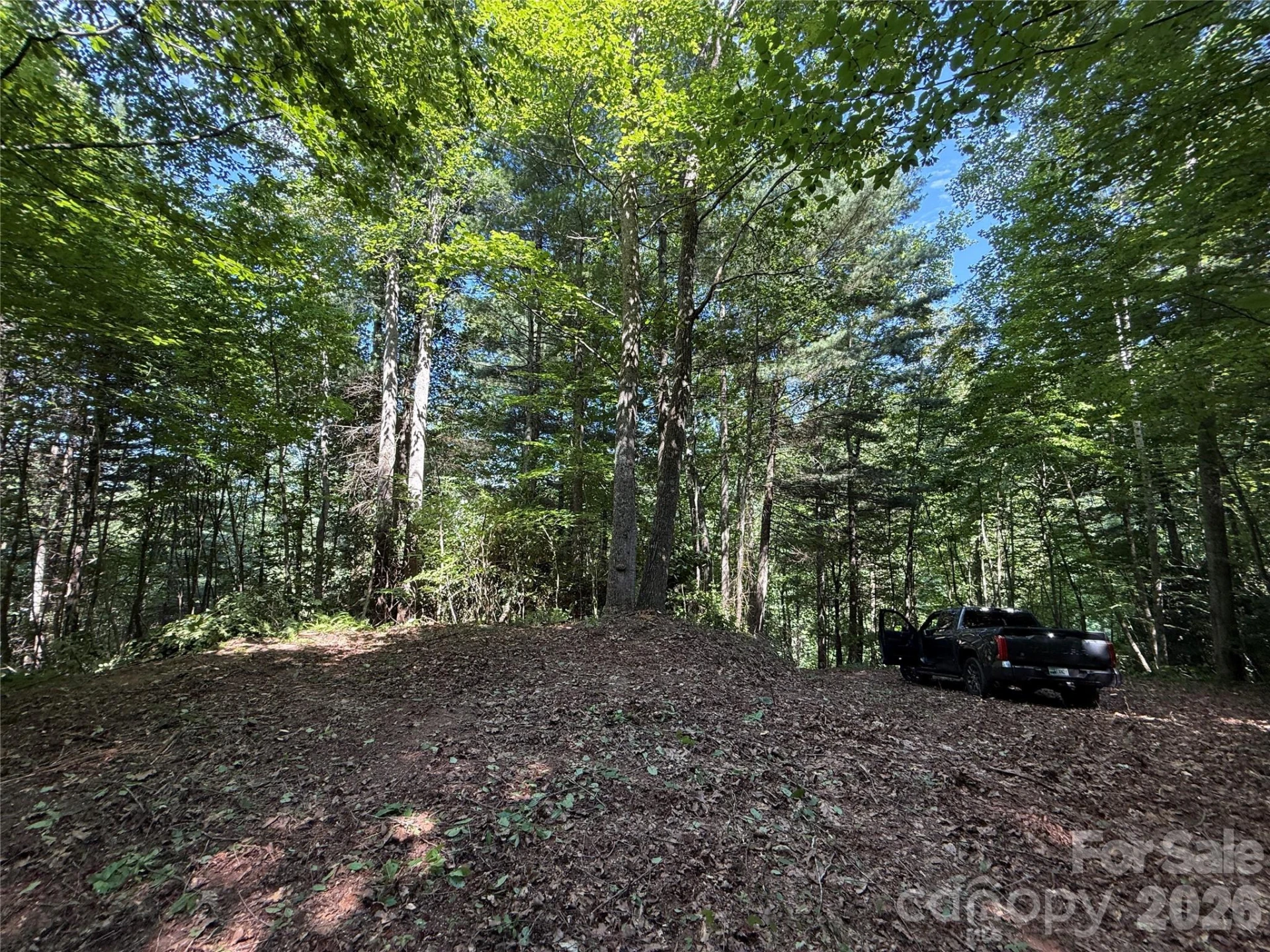 99999 Walking Horse Trail - Photo 2