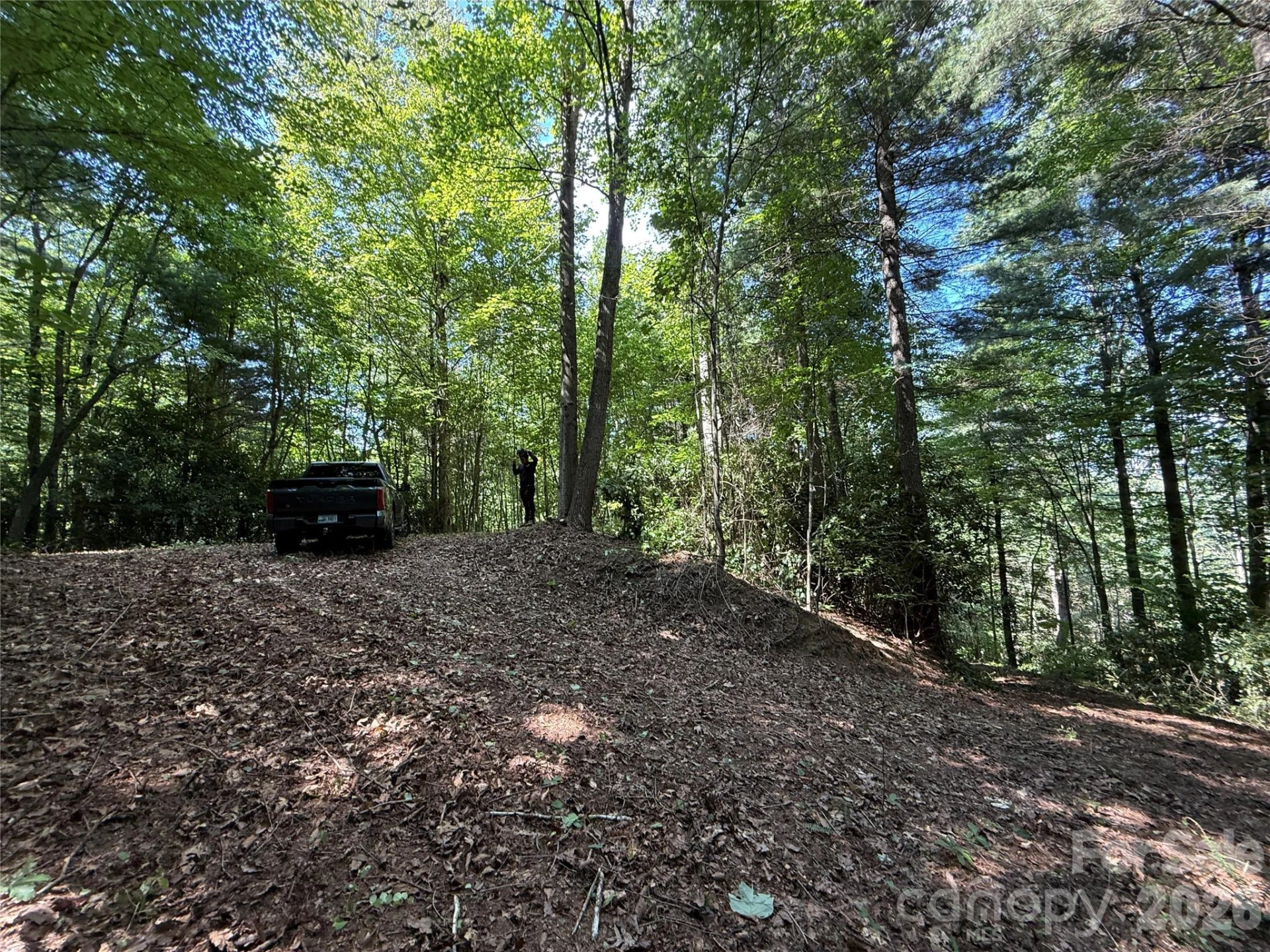 99999 Walking Horse Trail - Photo 3