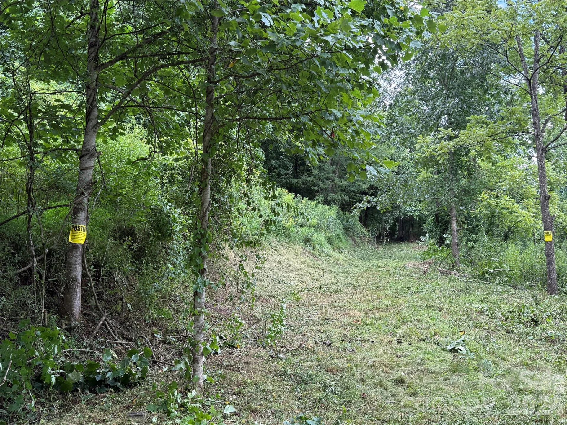 99999 Walking Horse Trail - Photo 10