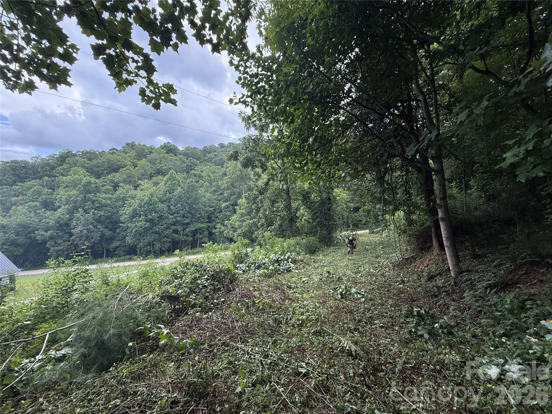 99999 Walking Horse Trail - Photo 13